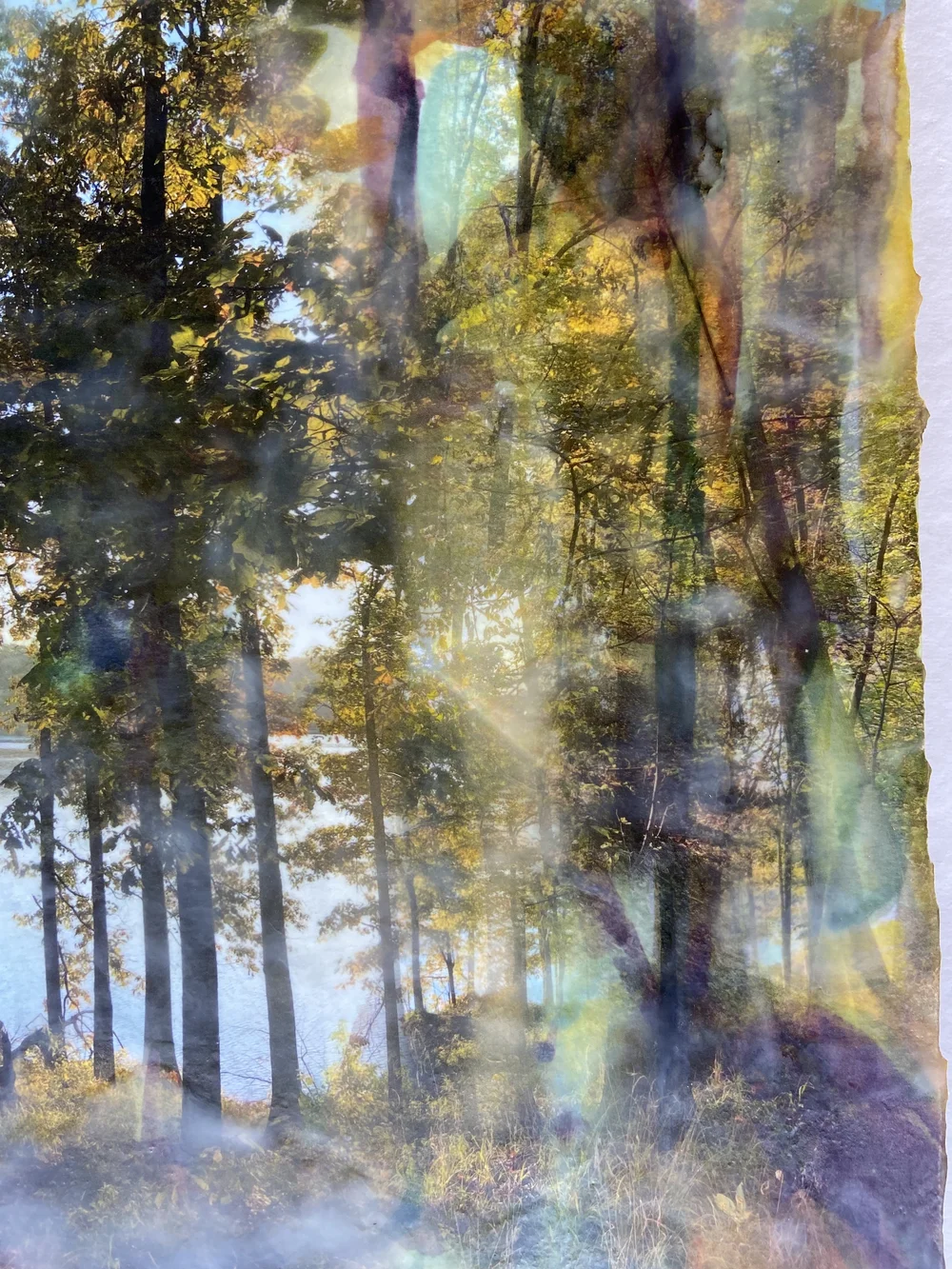 Artwork from Fire-Flowers