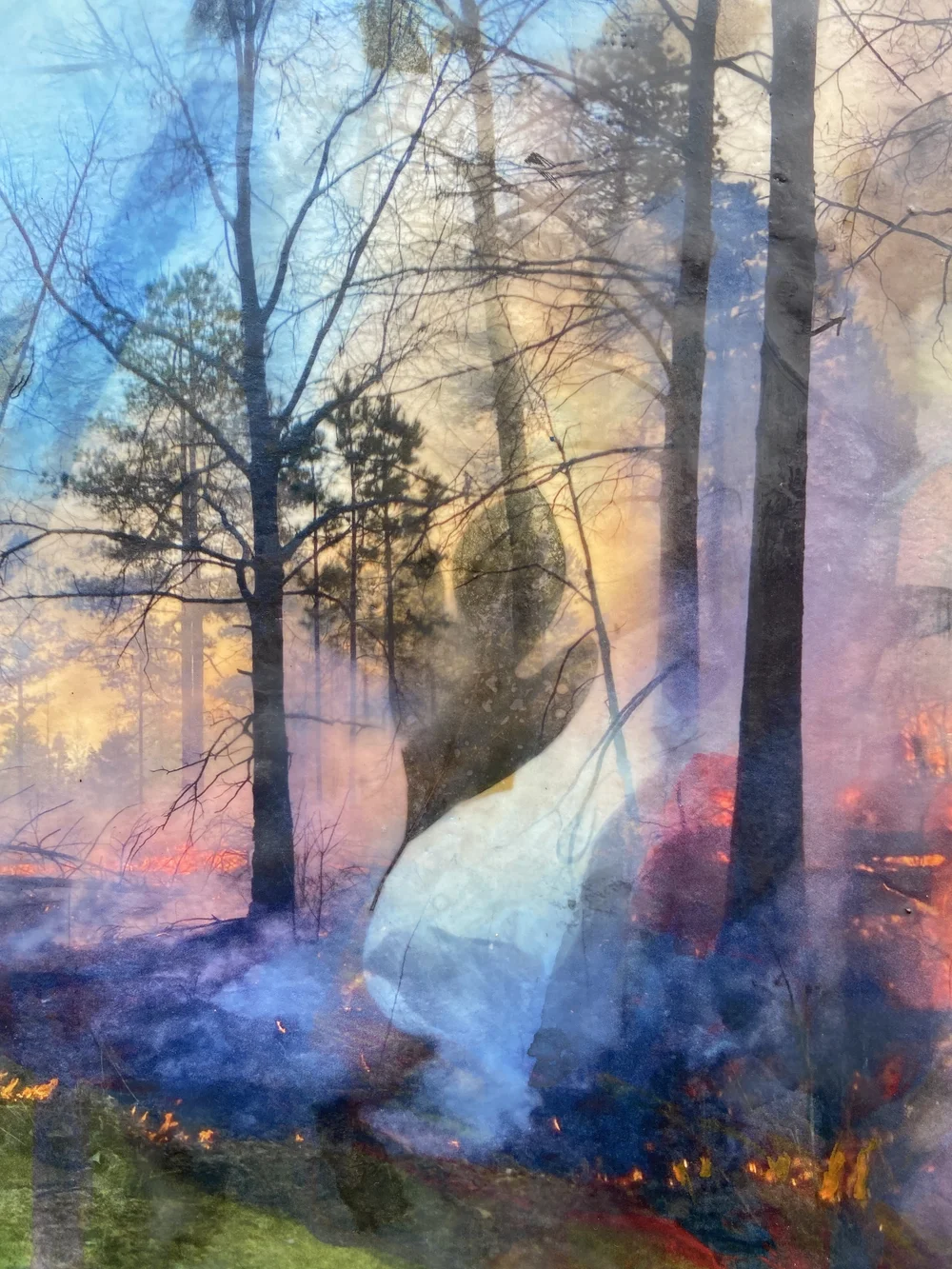 Artwork from Fire-Flowers
