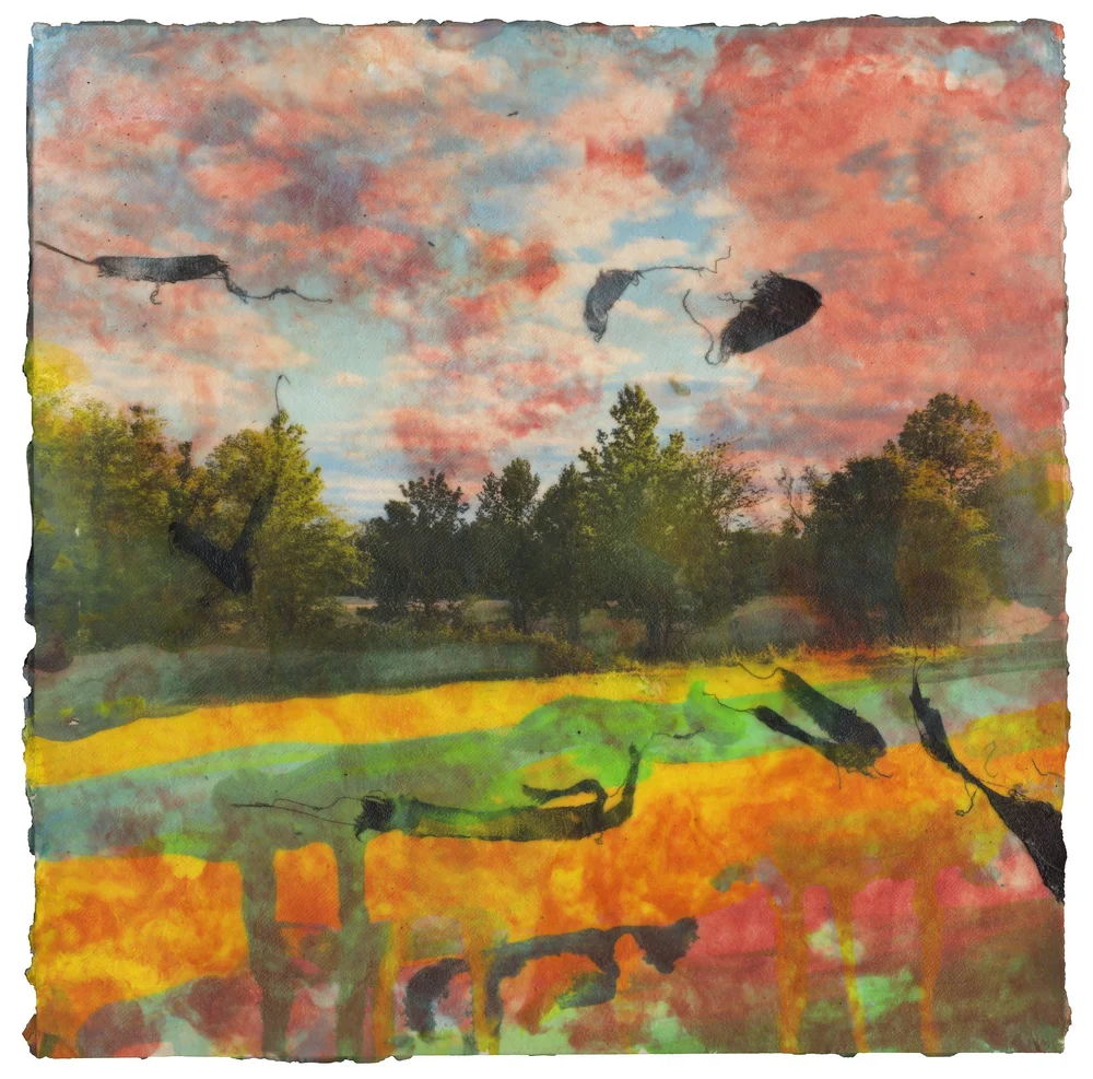 After the Dragonflies