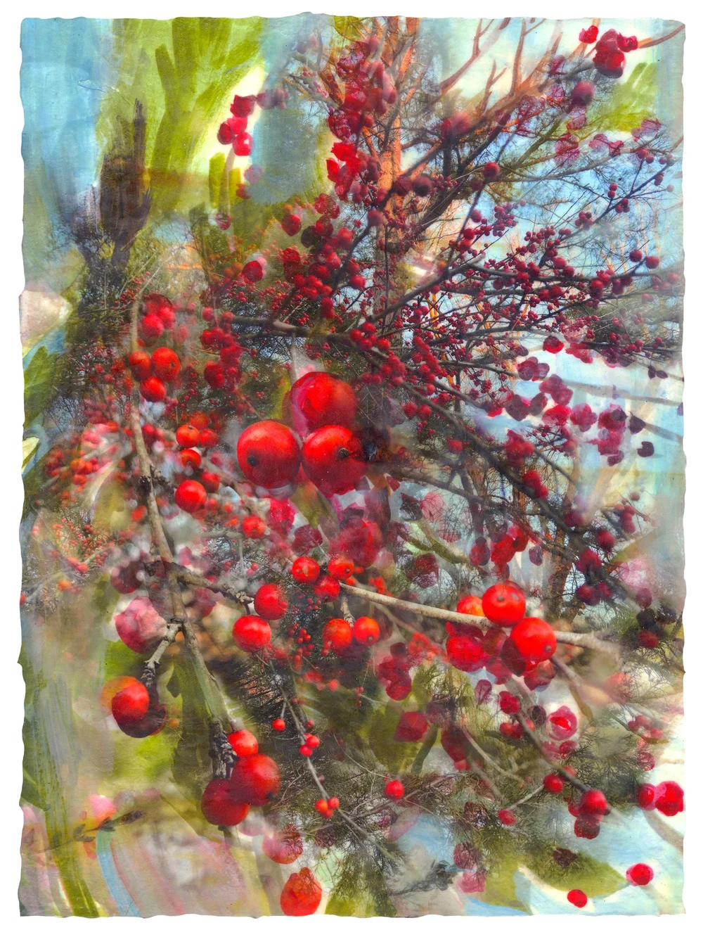 Artwork from Fire-Flowers