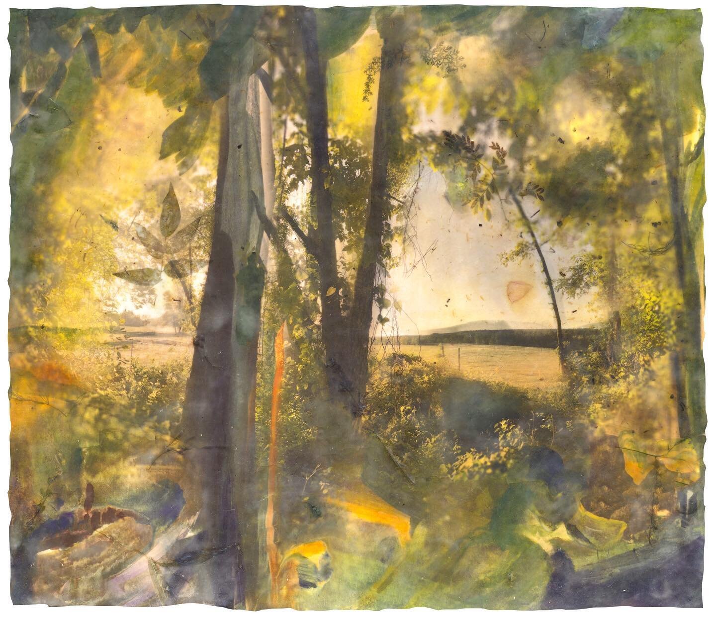 One of the most recent works I’ve made. It reminds me of a collage I made when I was in high school. I’ve made variations on “looking through the trees” throughout my artistic journey. 
This space between the forest and the f