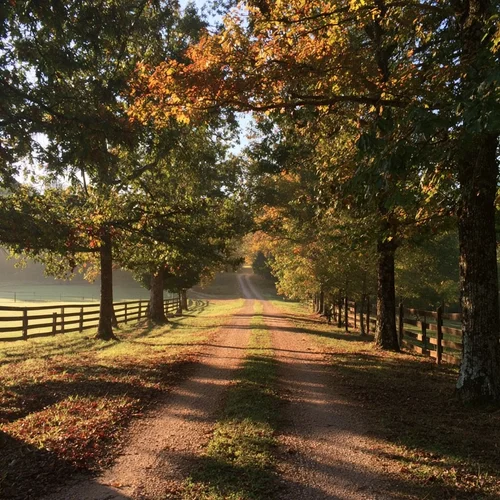Central Arkansas real estate market update, October 5, 2026