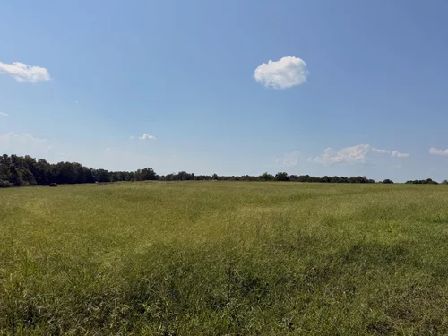 Searching for the right Arkansas ranch for my buyers