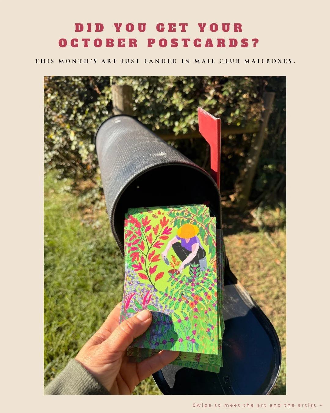 Take a closer look at our October postcard. Swipe through 

This month&rsquo;s Postcard Edition features &ldquo;Sassafras Autumn&rdquo; by Little Rock painter Susan Baker Chambers. Swipe to meet the art, the artist and a few more of her gardens 

Wan