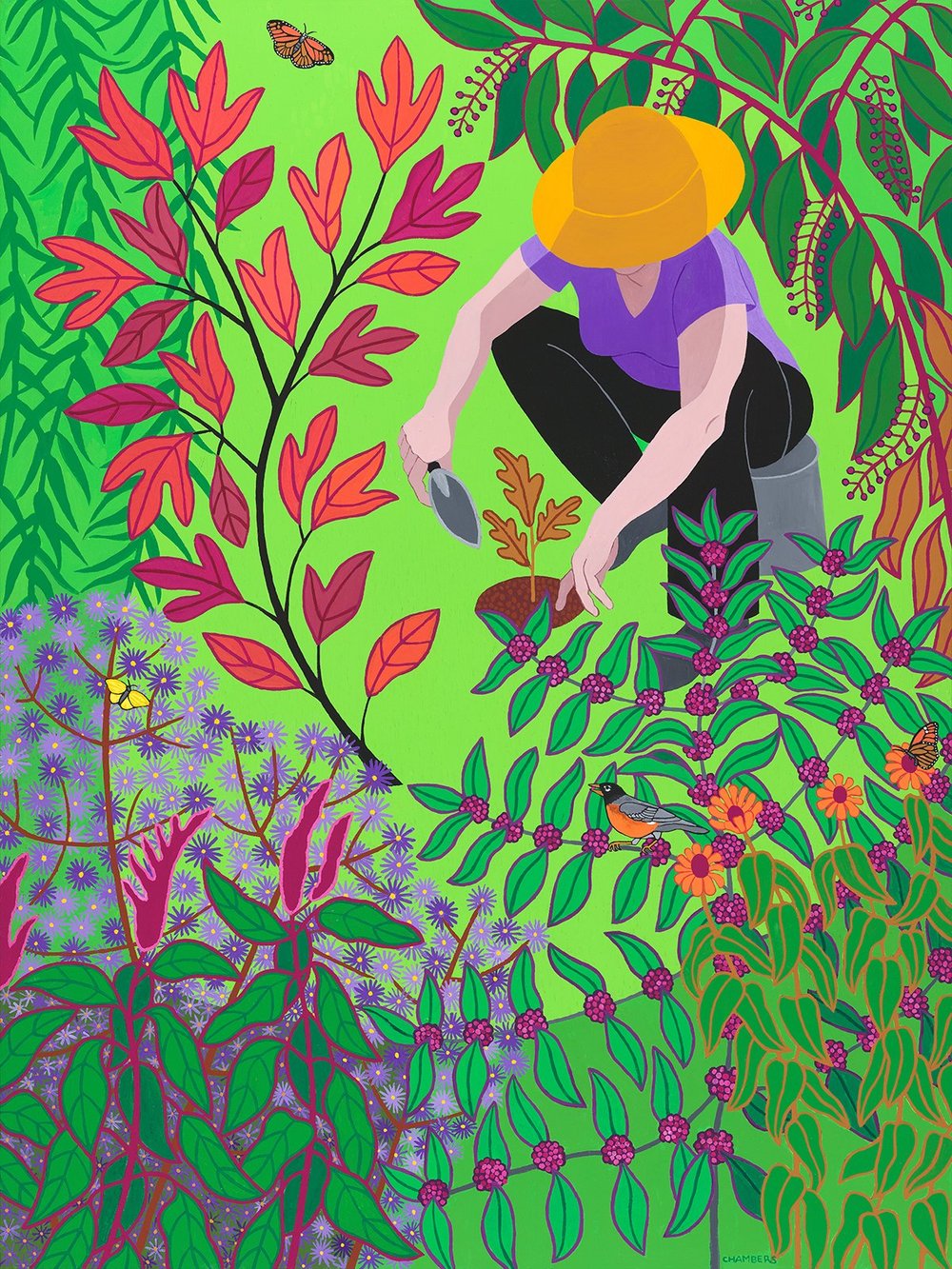 Sassafras Autumn by Susan Baker Chambers, this month’s postcard
