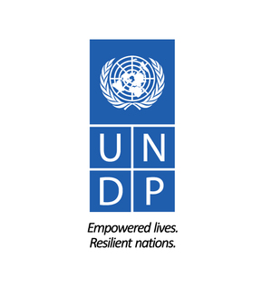 undp (1).jpg