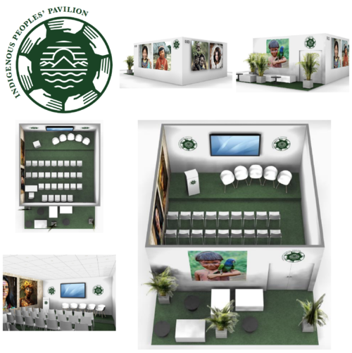 IIPFCC Pavilion COP23 virtual