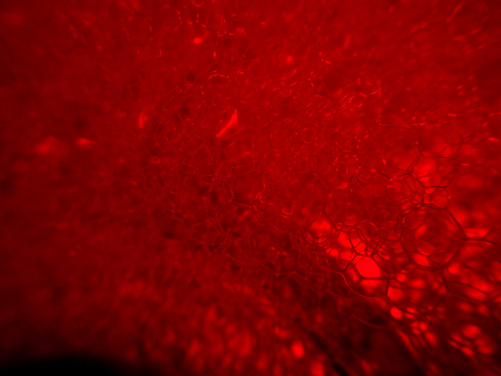 blood.png
