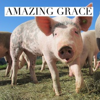 Amazing Grace.png