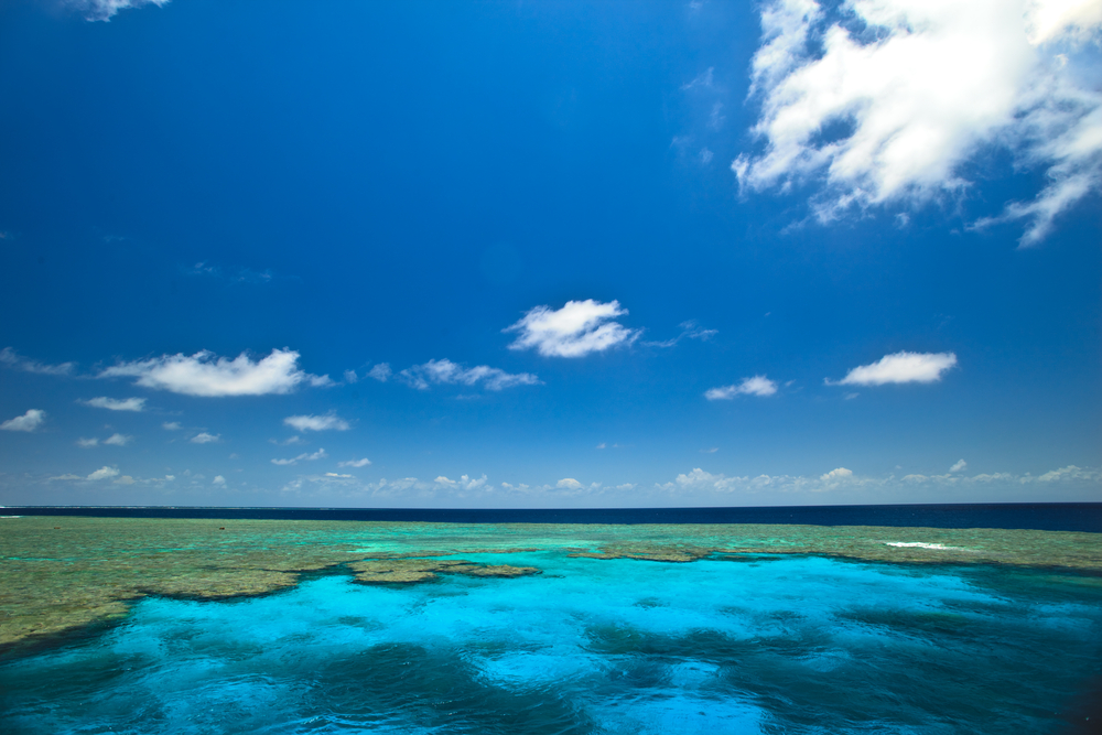 MV Monsoon reef panorama.jpg