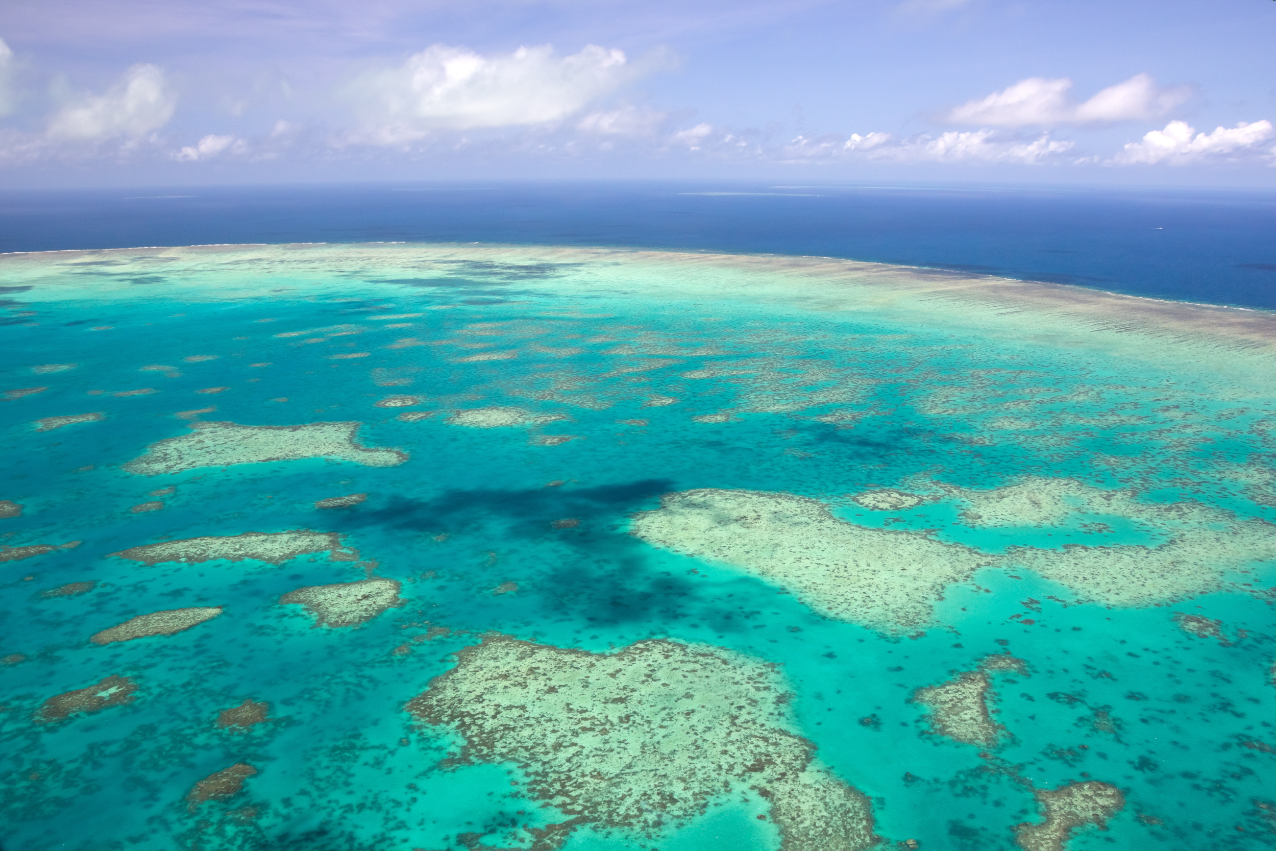 MV Monsoon Great Barrier Reef.jpg