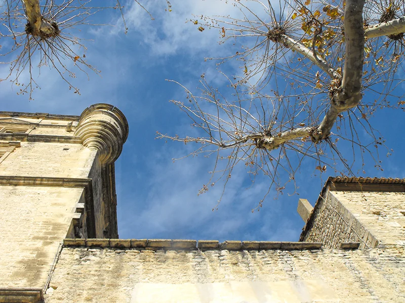 Skies-Edge.jpg