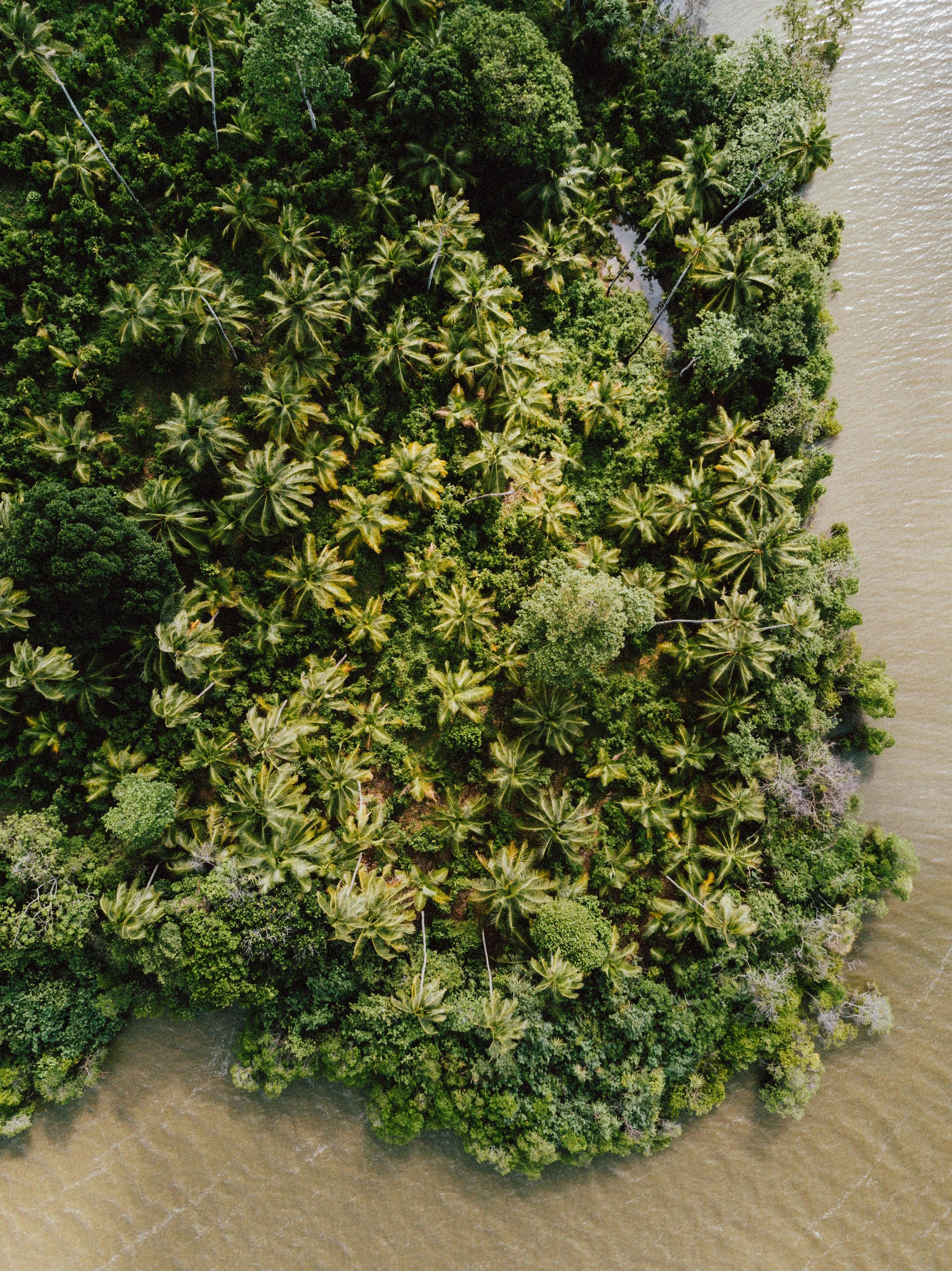 DJI_0162.jpg