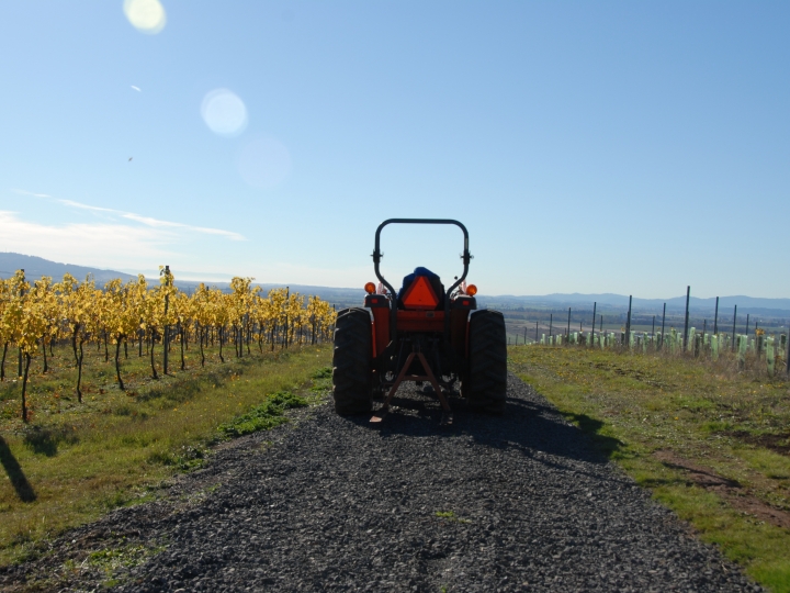 harvest_twenty_ten_077_720_540_c1.jpg