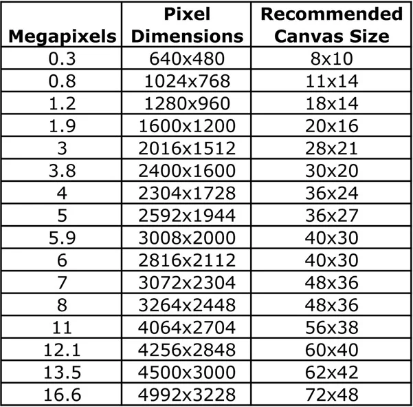 Table illustrating basic size capabilities of a camera