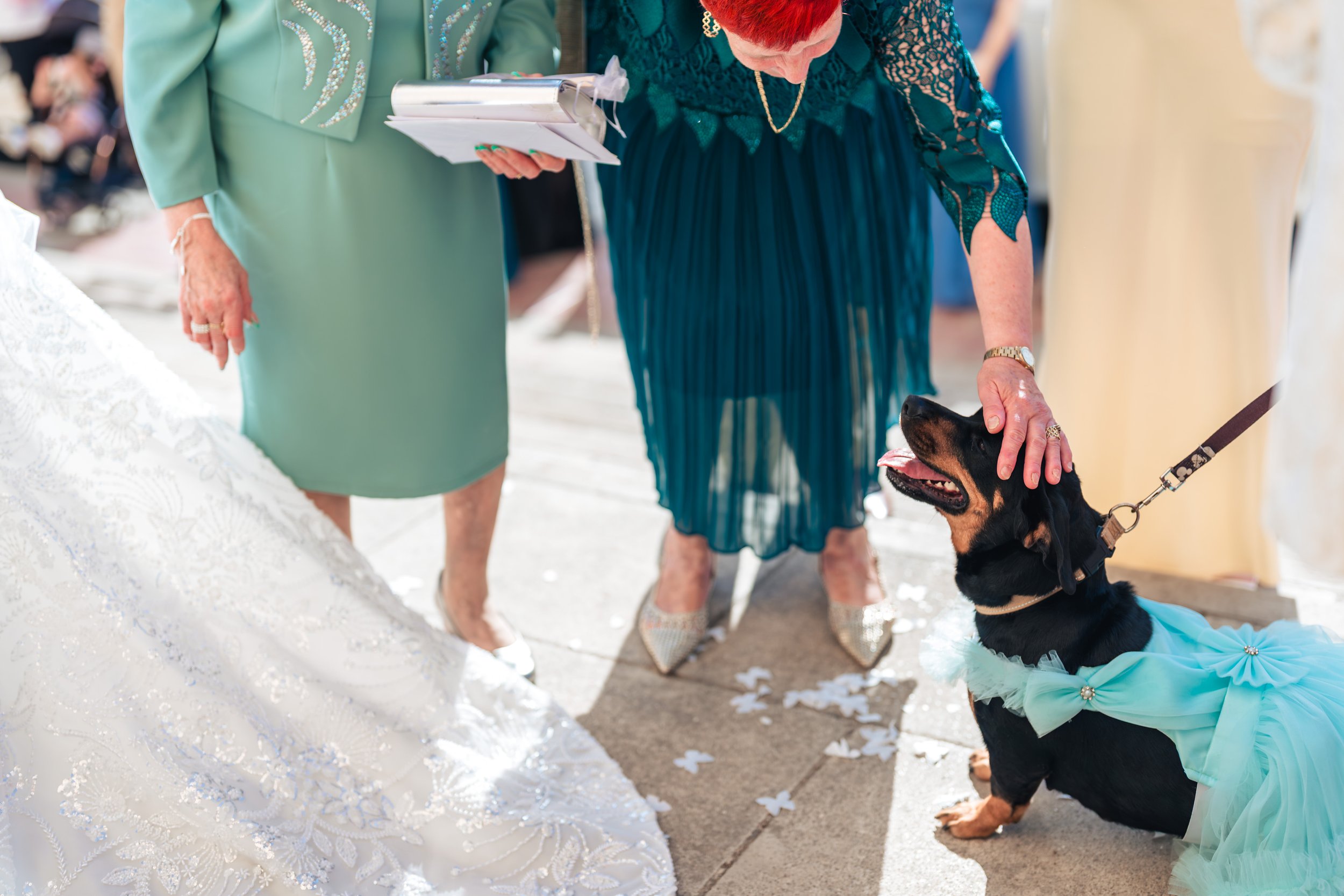 Samaya_Jean_wedding_malta_228.jpg