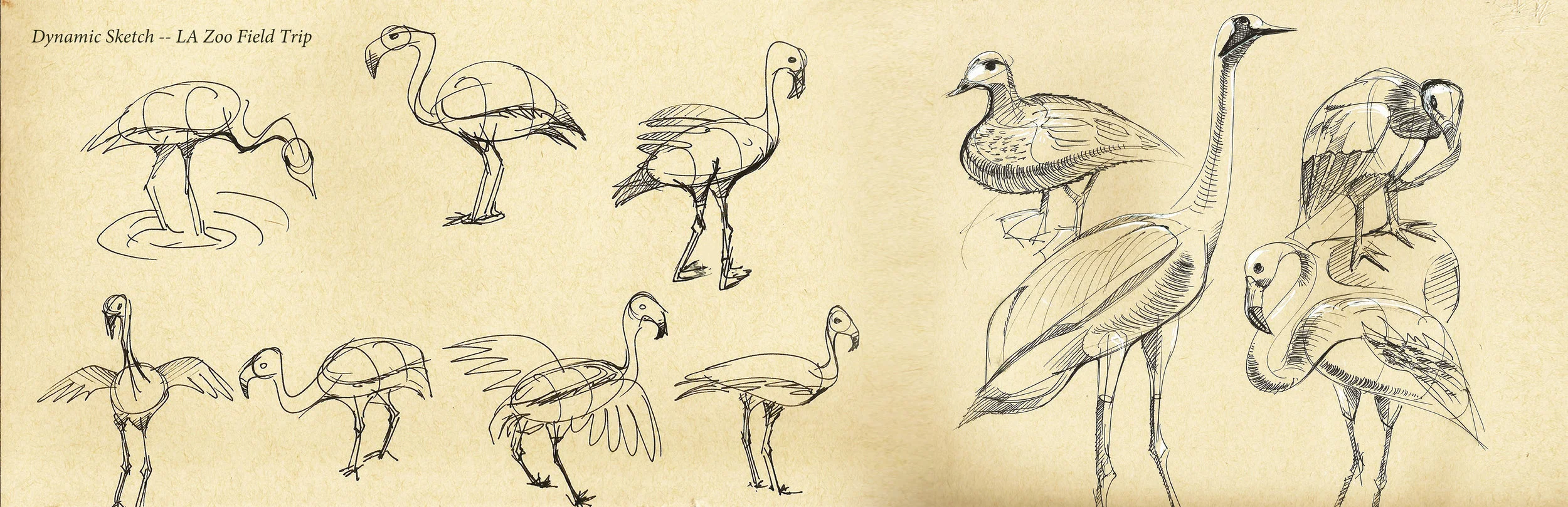 dynamic sketch1.jpg