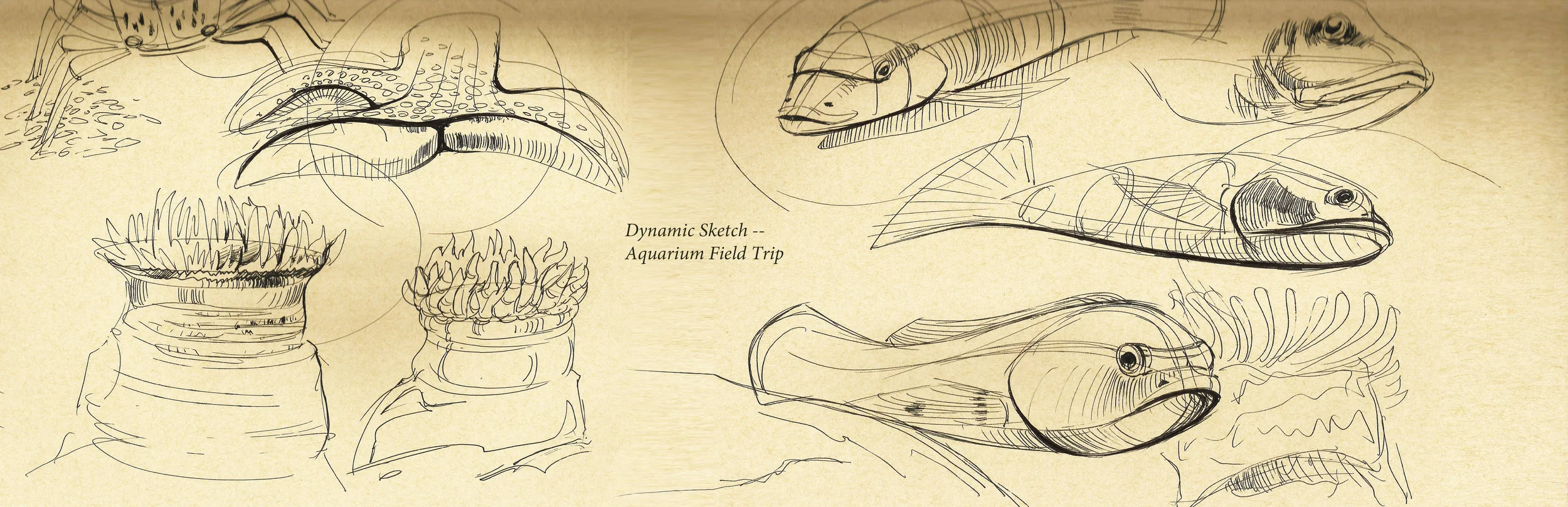 dynamic sketch3.jpg