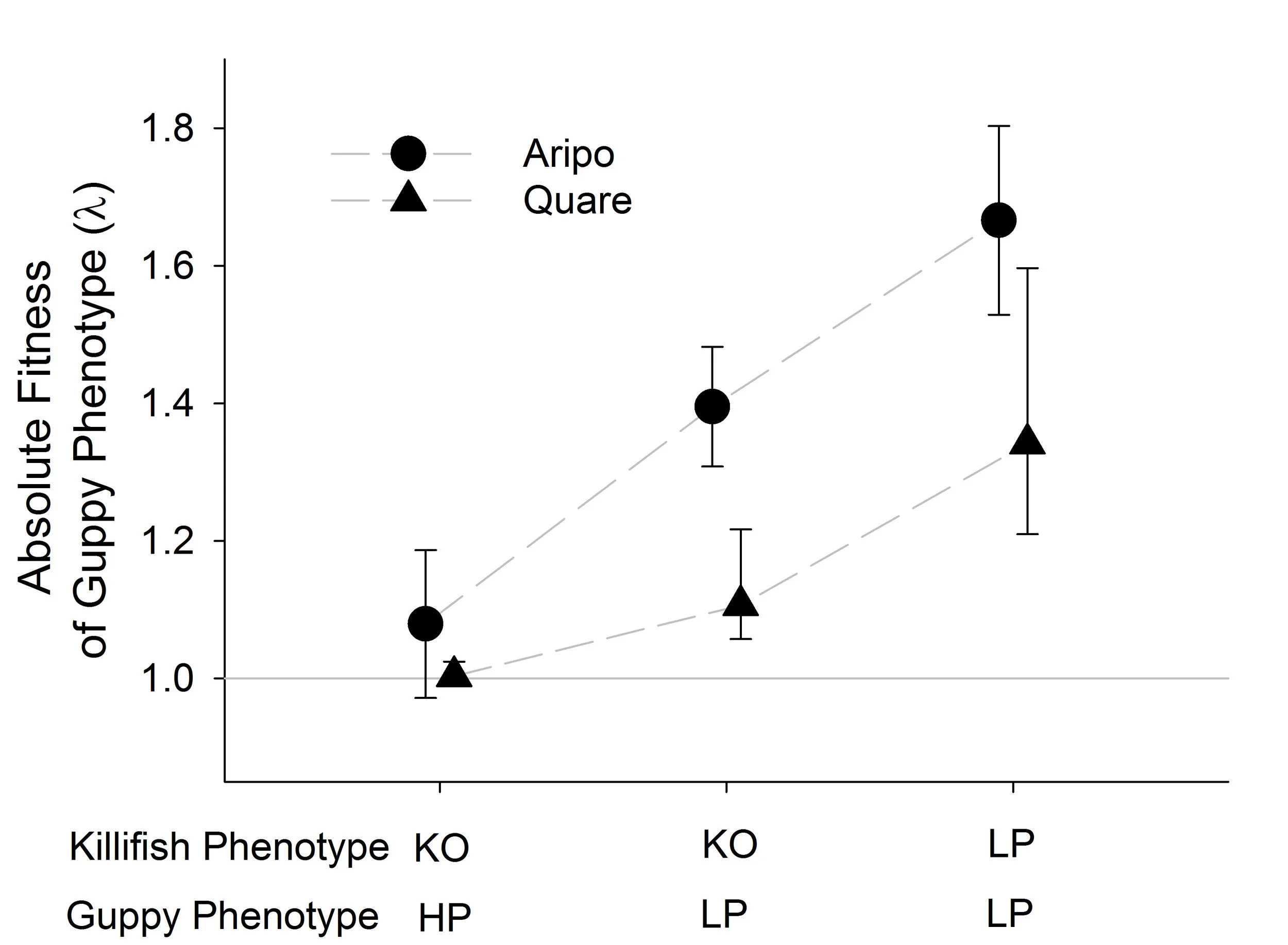 Absolute fitness of high predation (HP) and low predation (LP) guppies in the context of allopatric (KO) and sympatric (LP) killifish. Image from Bassar et al. 2017. Evolution.