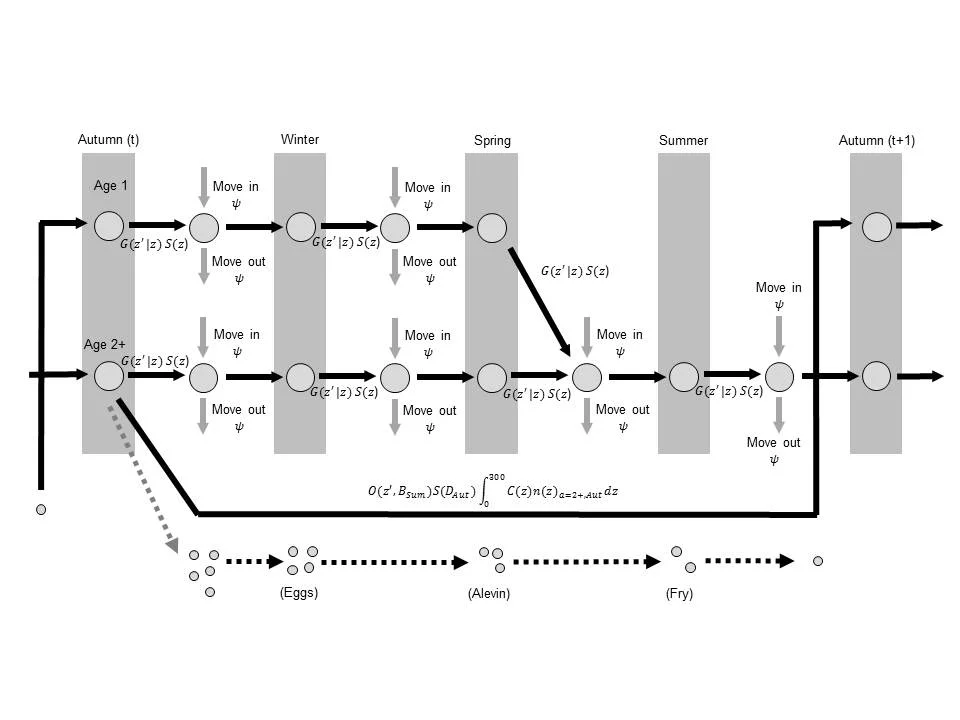 Brook trout life cycle. Image from Bassar et al 2015. Global Change Biology.