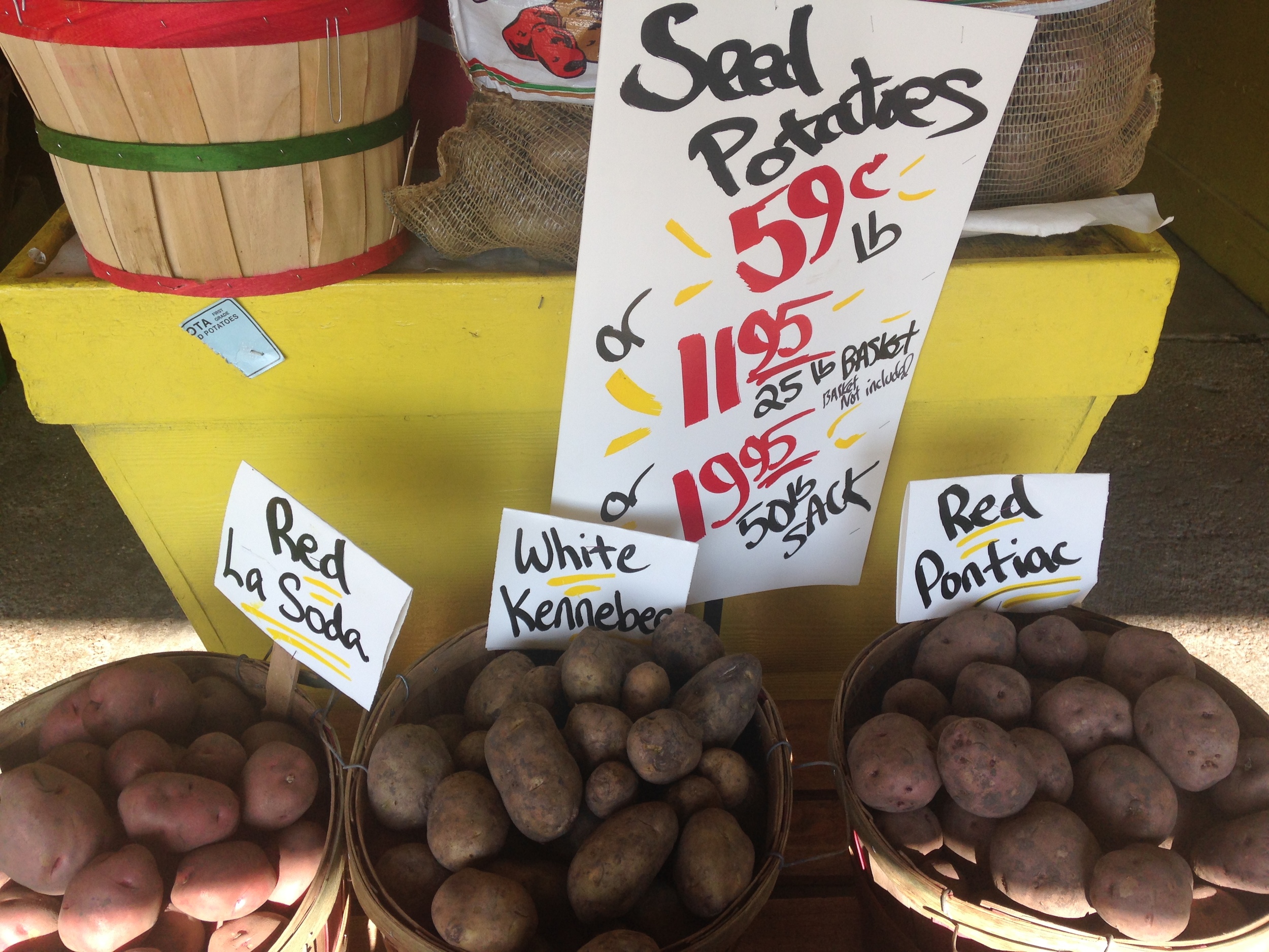 Seed Potatoes
