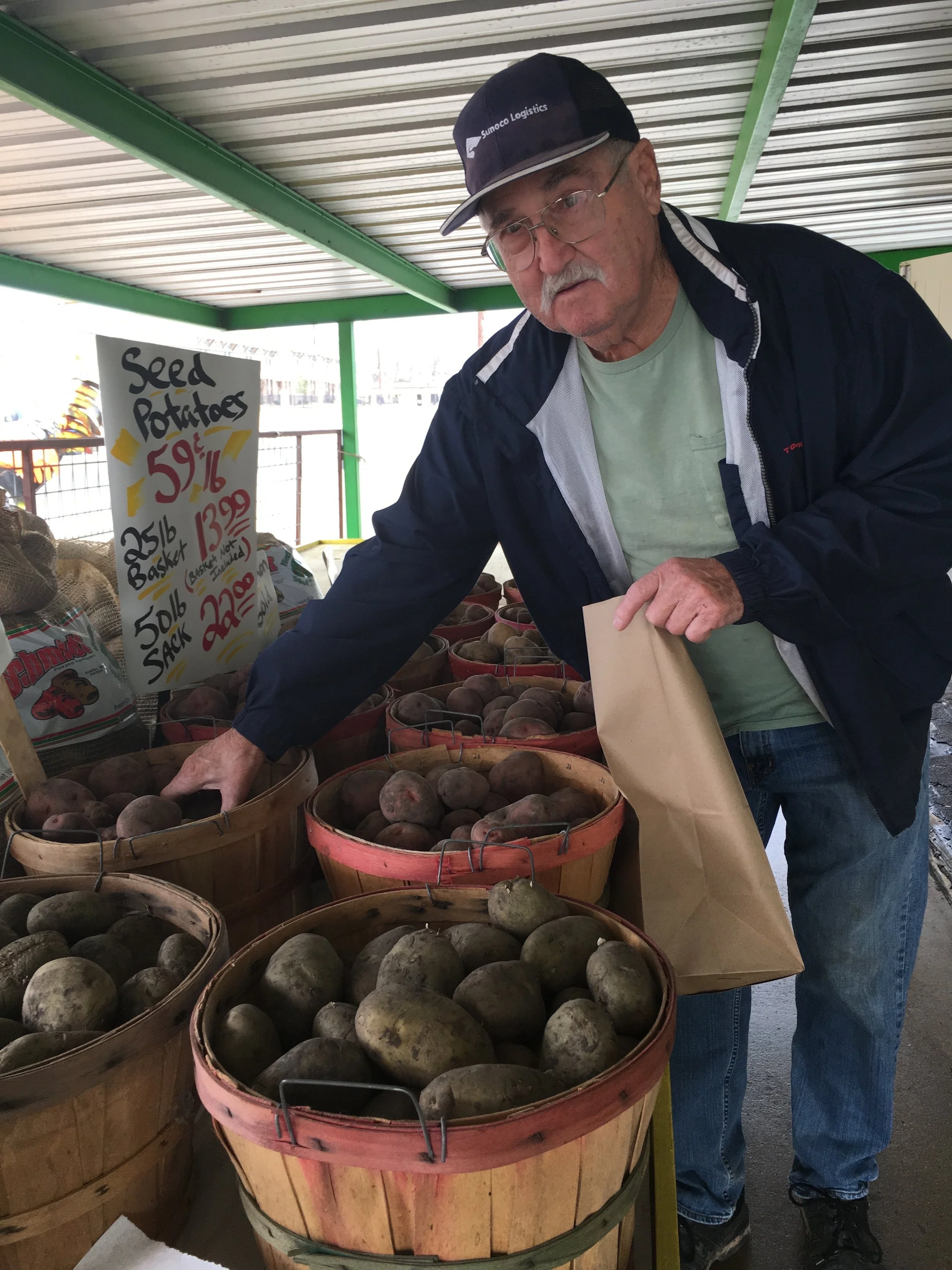 Seed Potatoes