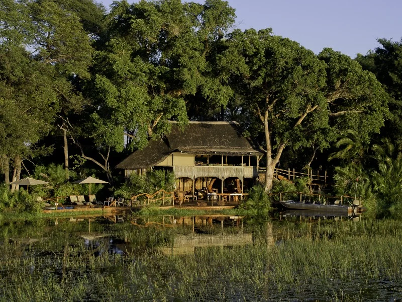 Jacana Camp - Photo: Dana Allen