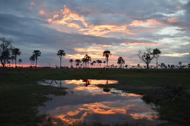 Sunset over the Delta.