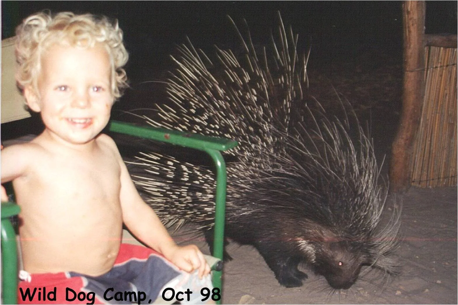 Young Madison posing with a prickly visitor.
