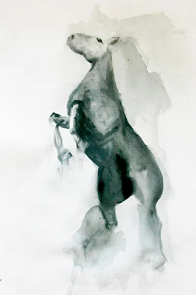 2012equineseriesweb.jpg