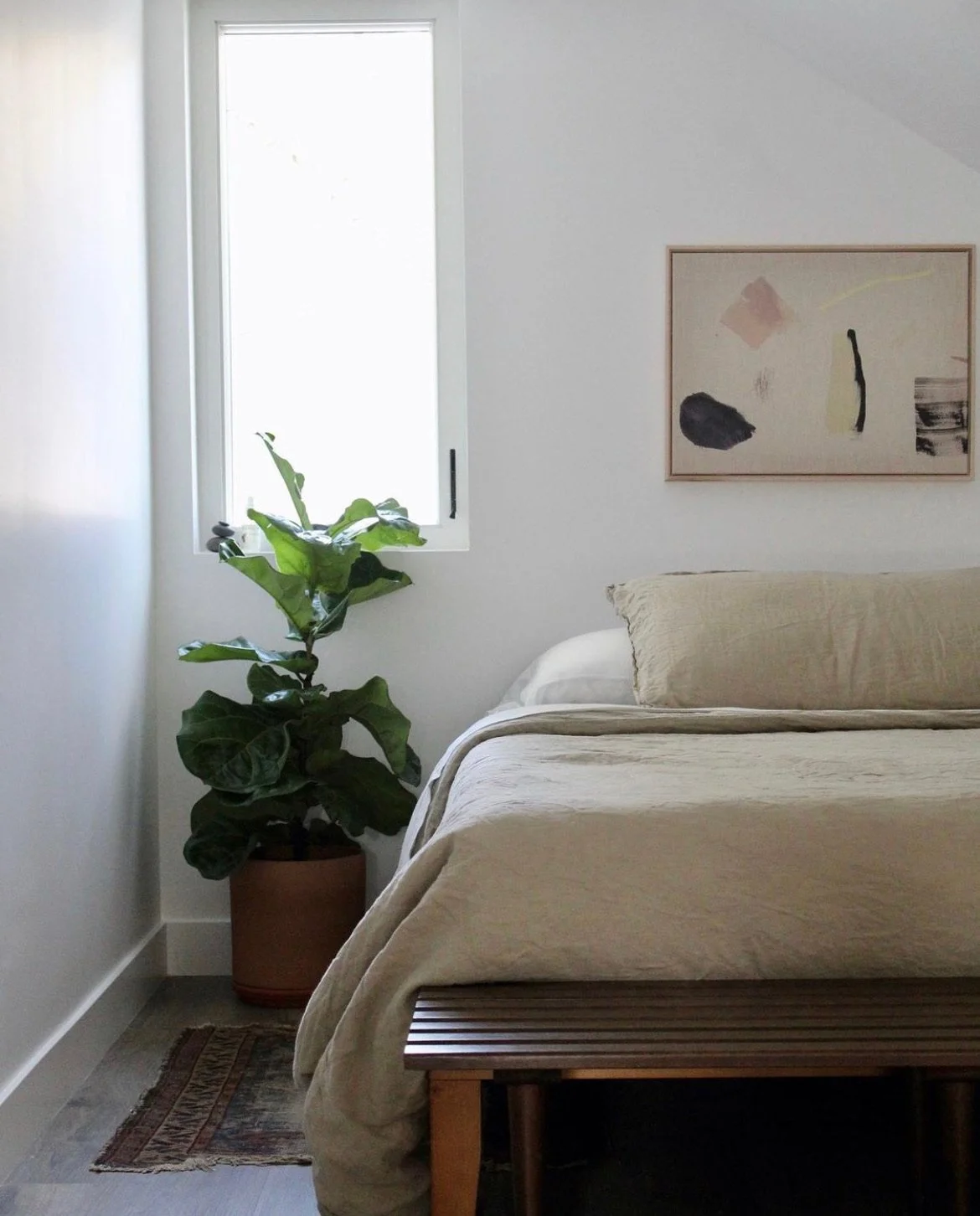 UGC things i collected at the beach.JPG