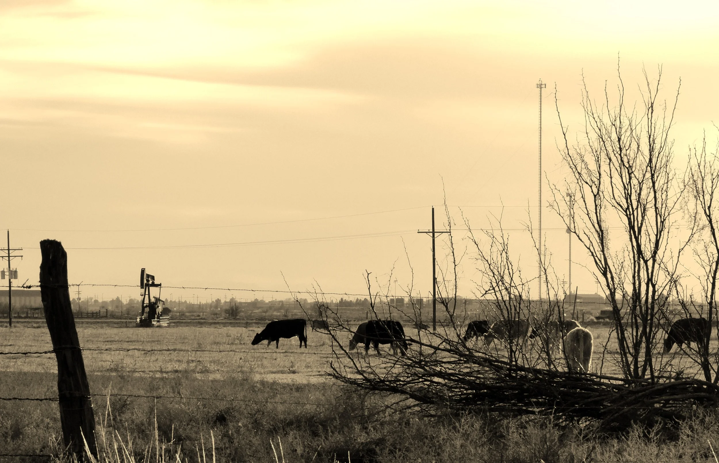 Through the Looking Glass #2: Midland, TX