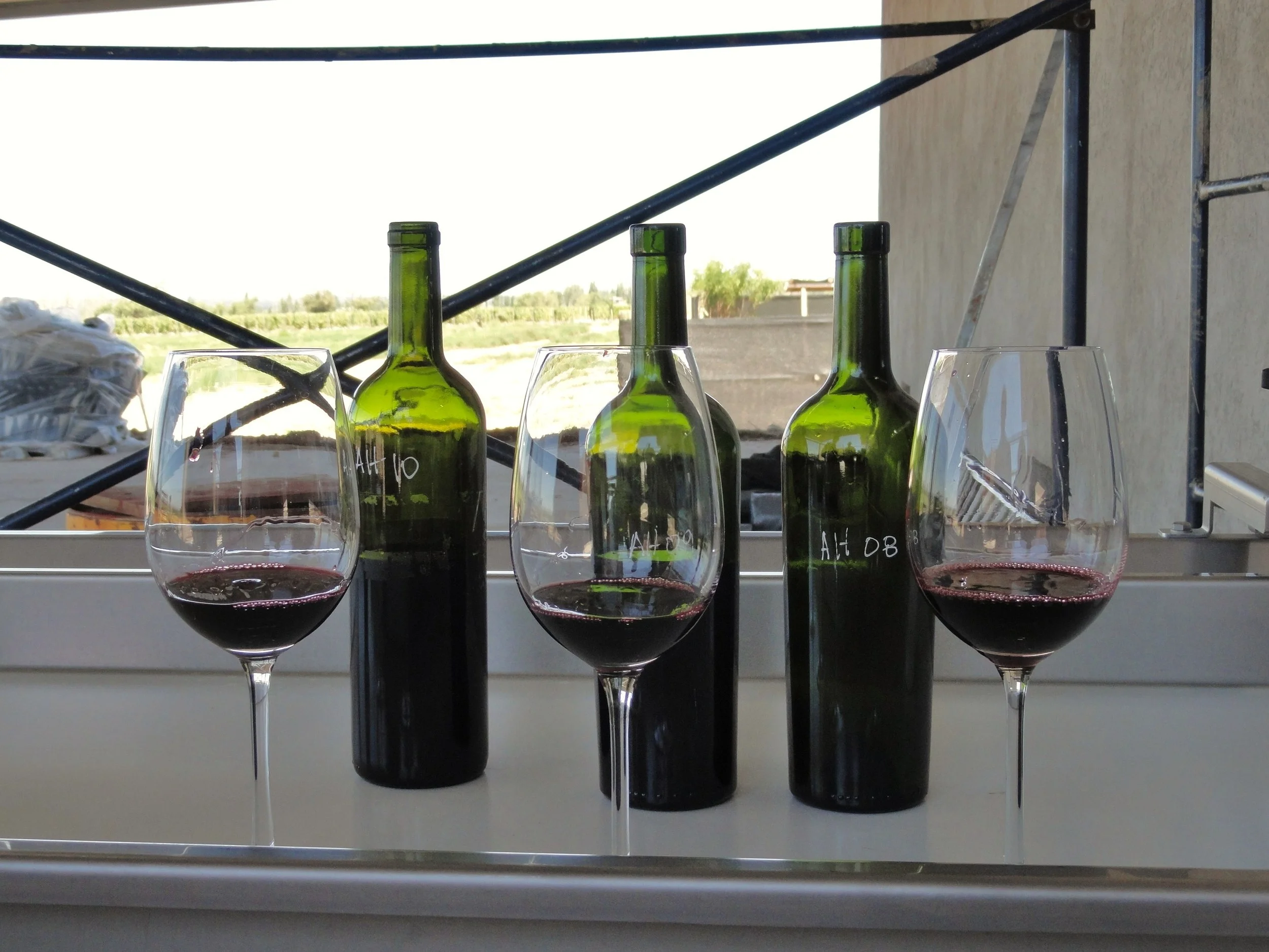 Day of Wine Tasting in Valle de Uco