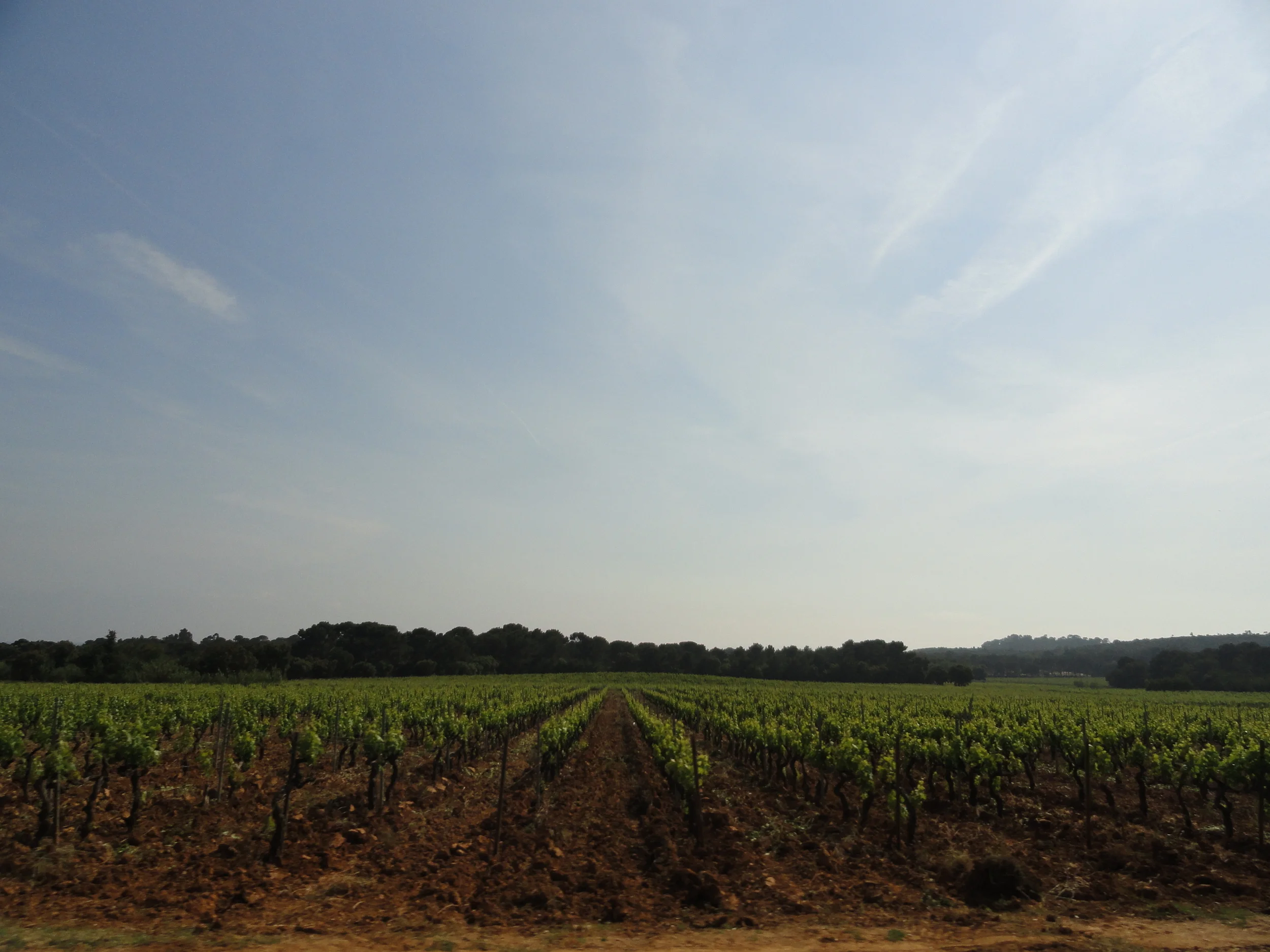 What to Know: Wine Tasting in the Cotes de Provence