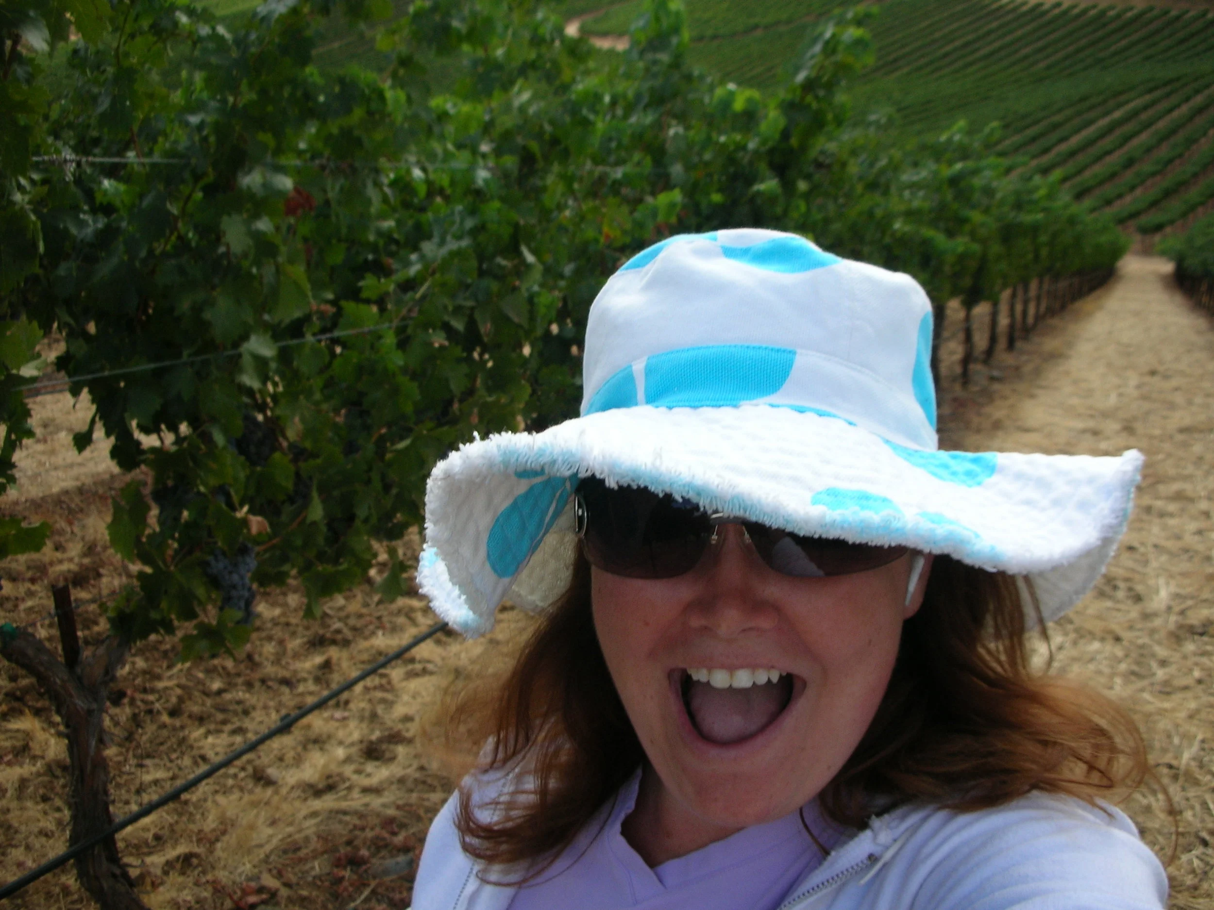Behind the Vine Interview: Katie Cotterill of Conn Creek Winery