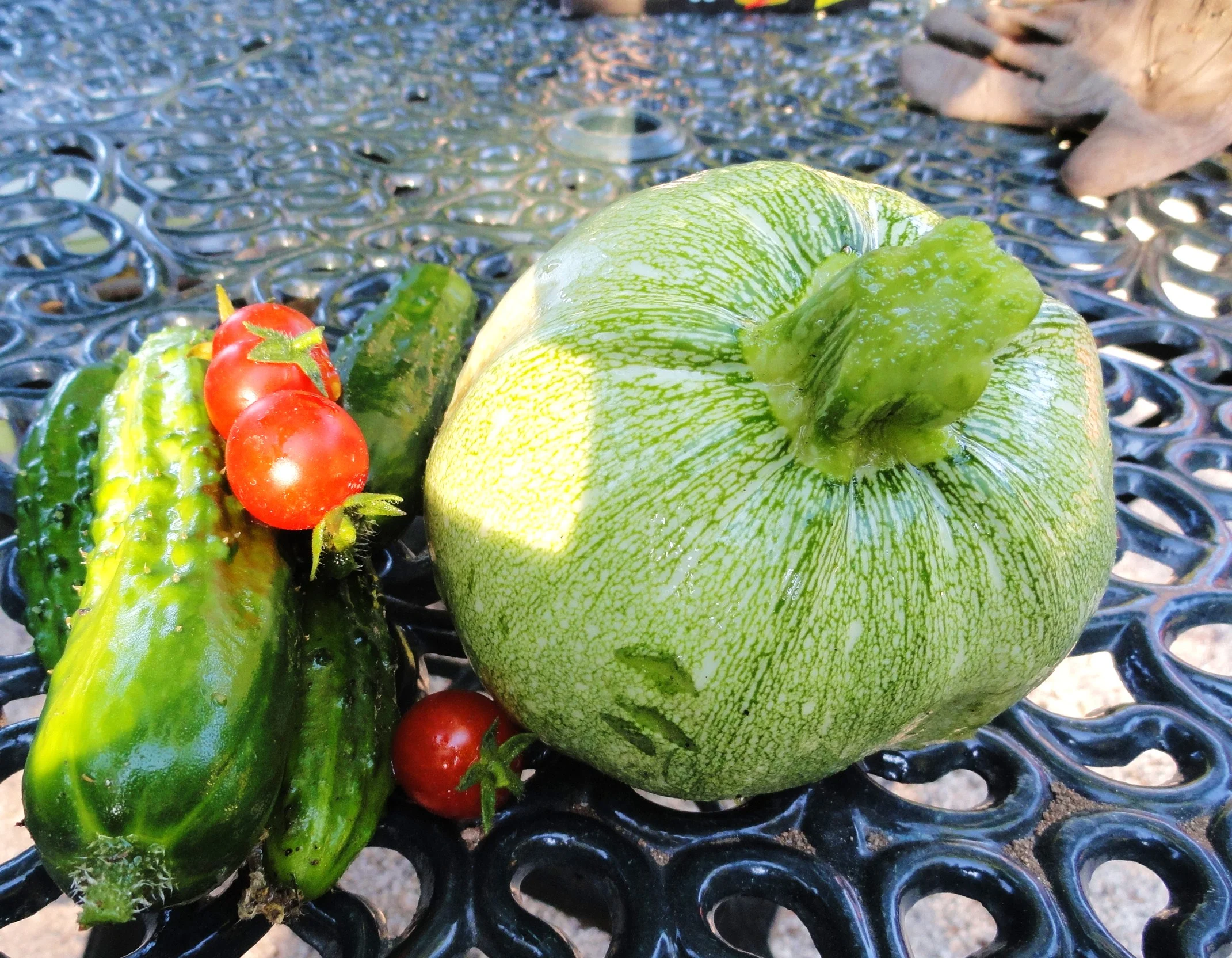 Through the looking Glass #17: Home Grown Veggies