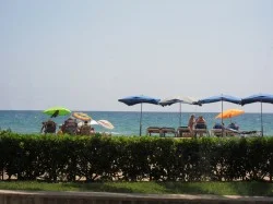 New Penedes Wine Tasting & Food Pairing Experience!