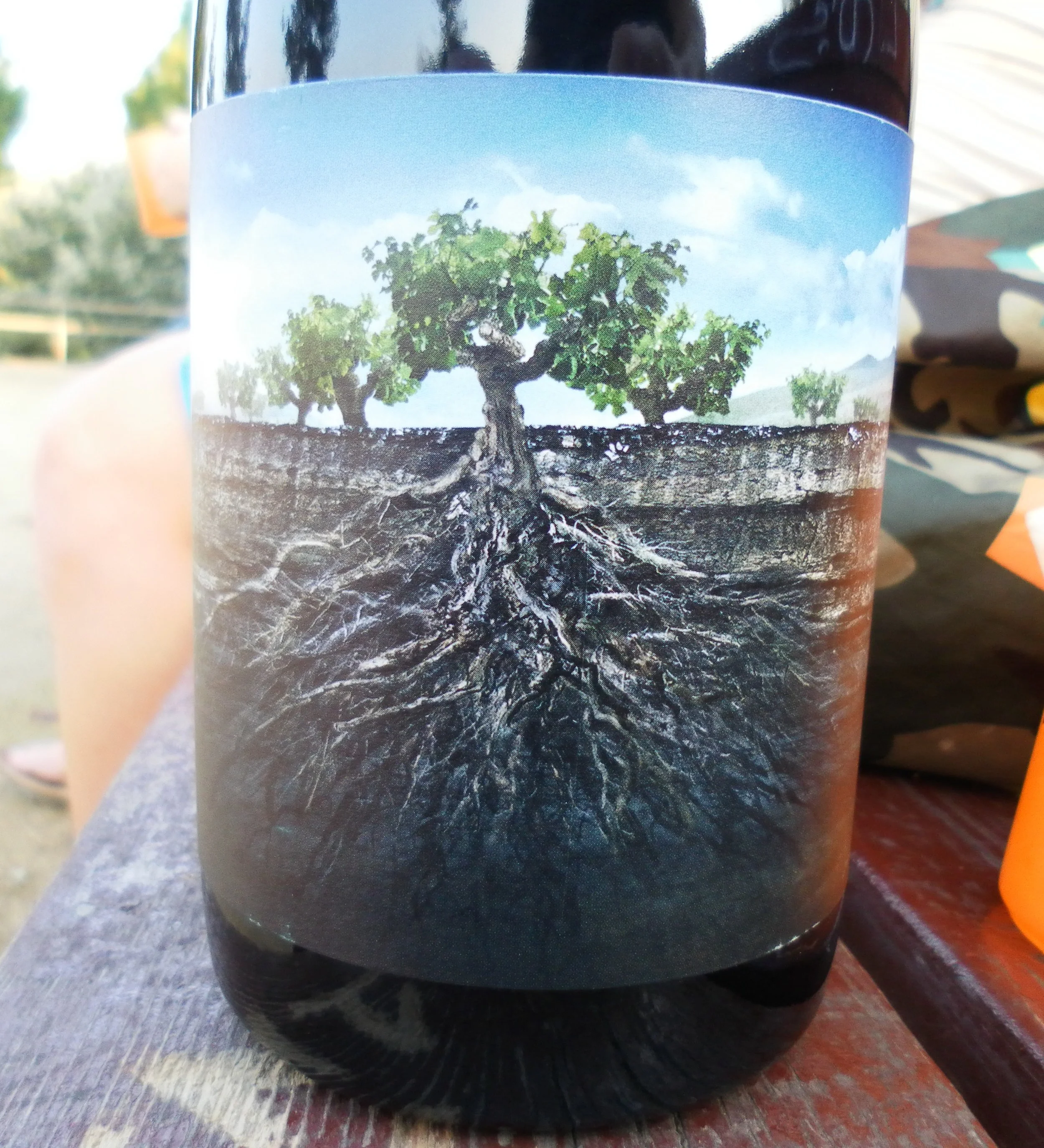 What We're Drinking Now : Proyecto Garnacha de Espana