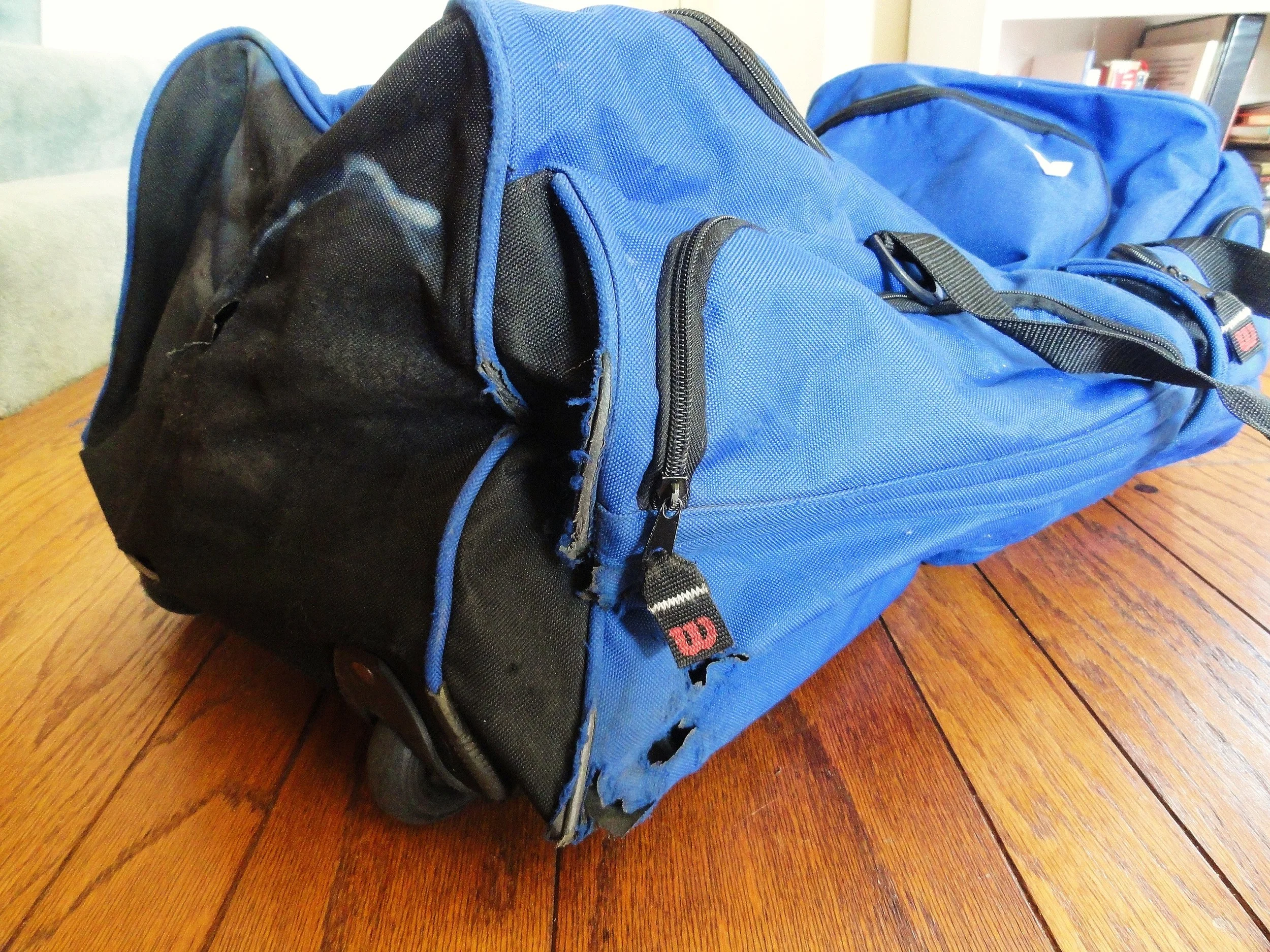 9 Months Abroad: The Aftermath