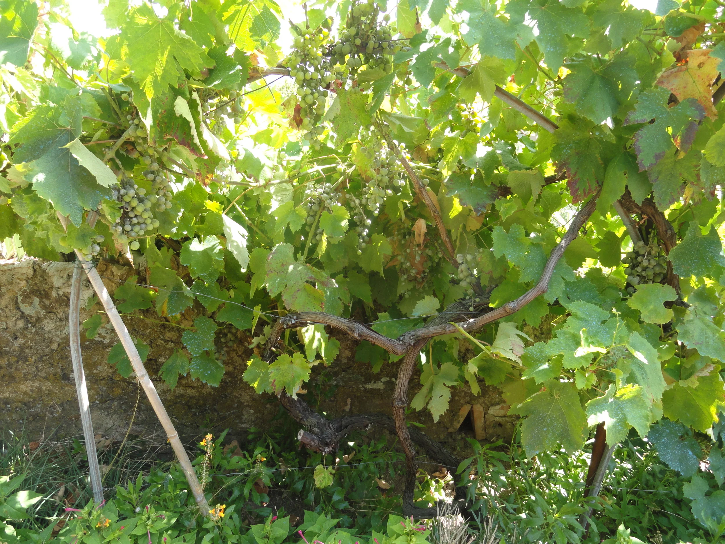 What a Difference Two Years Makes!