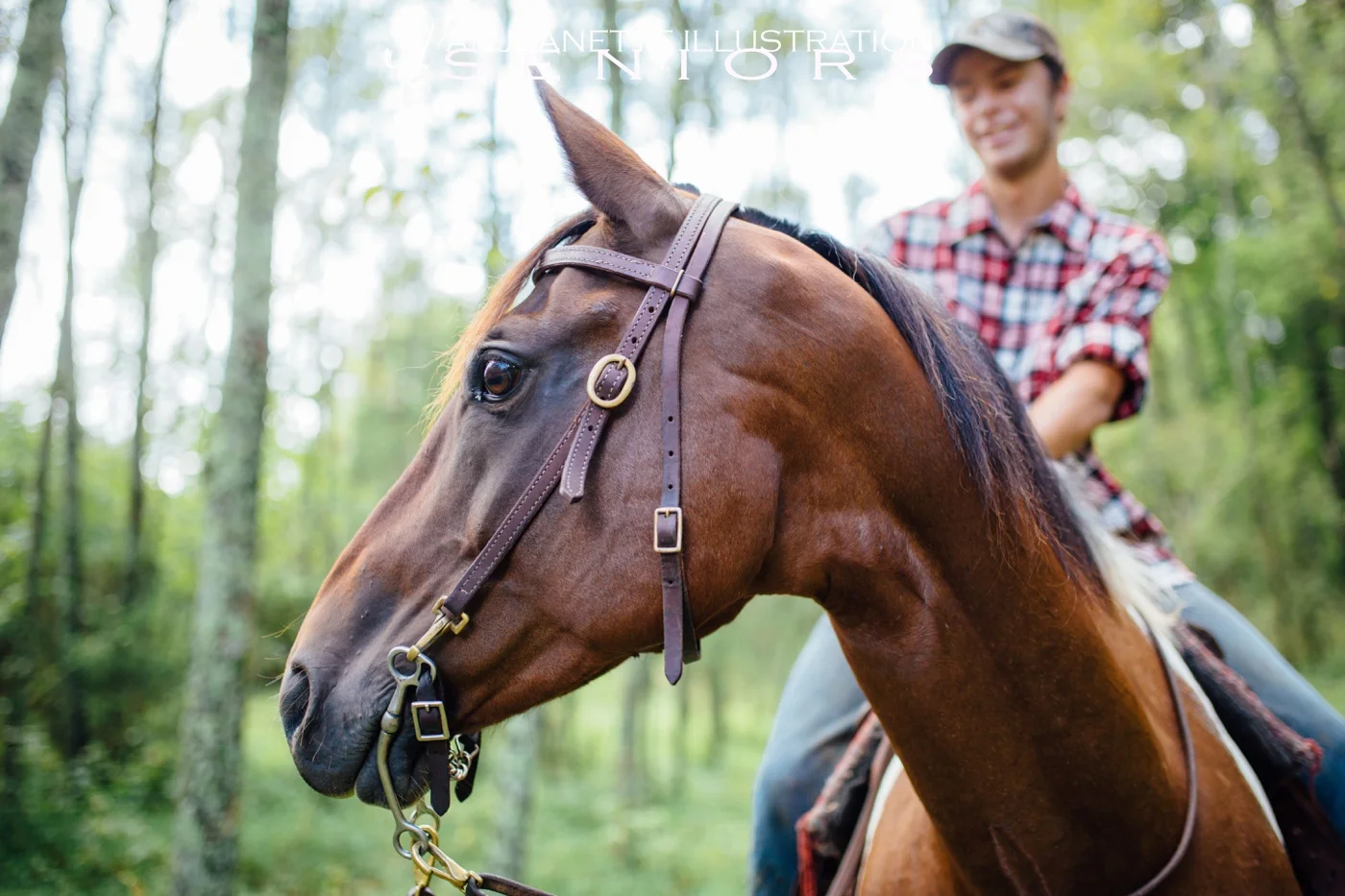 Hunter's Hendersonville Tn Senior Horseback Portrait Adventure Class