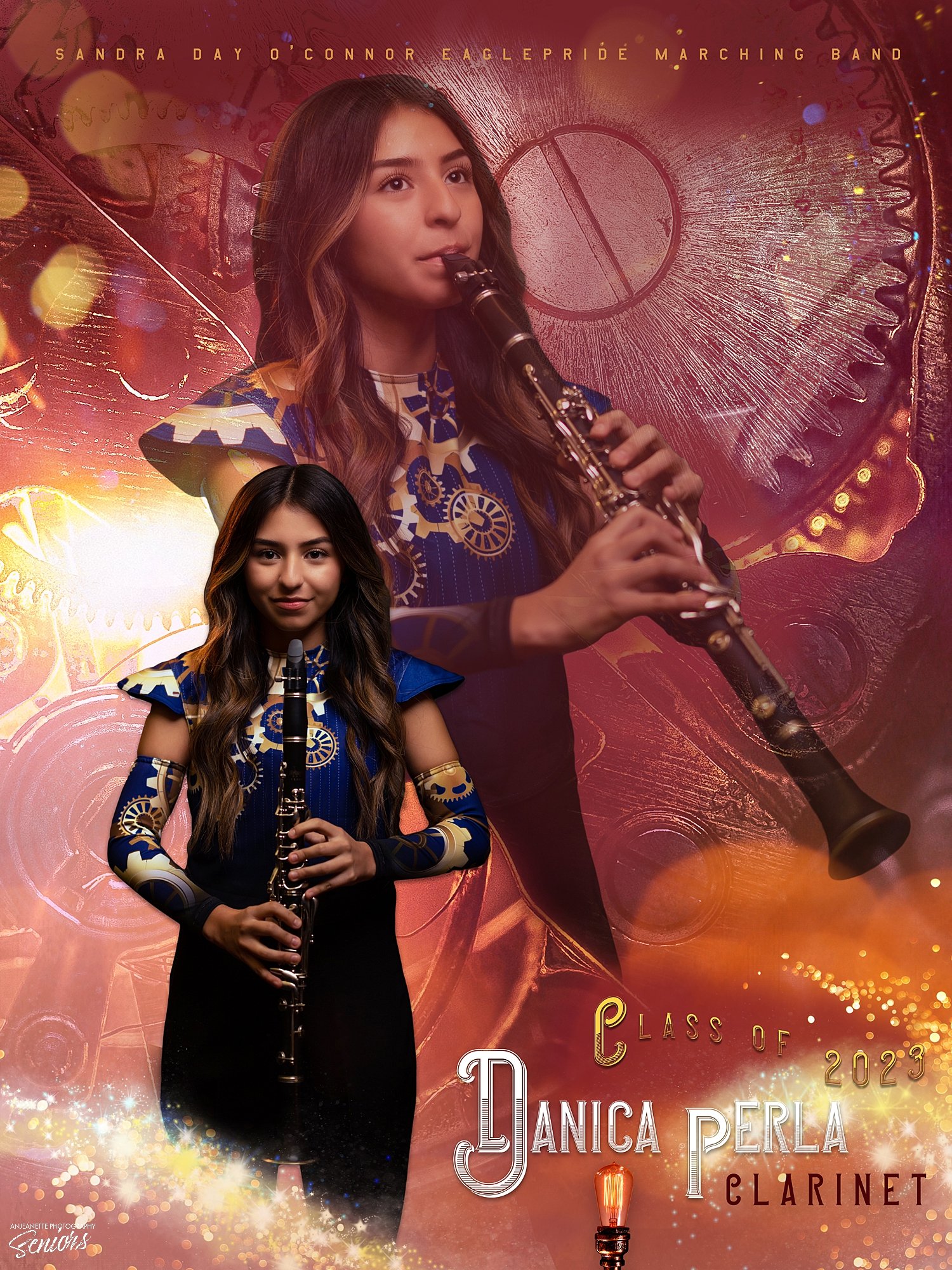  Phoenix Arizona Marching Band Banner Pictures by Anjeanette Photography High School Seniors 