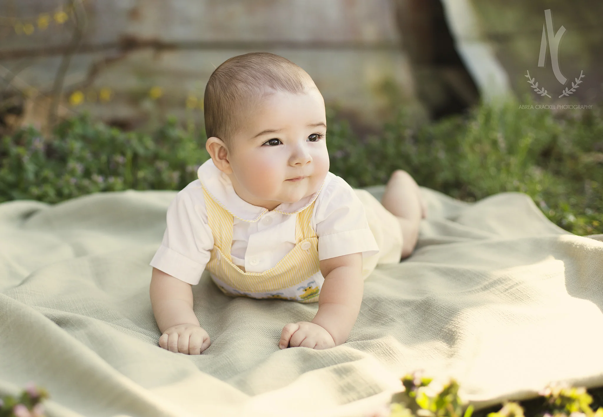 Connor, Six Months Session