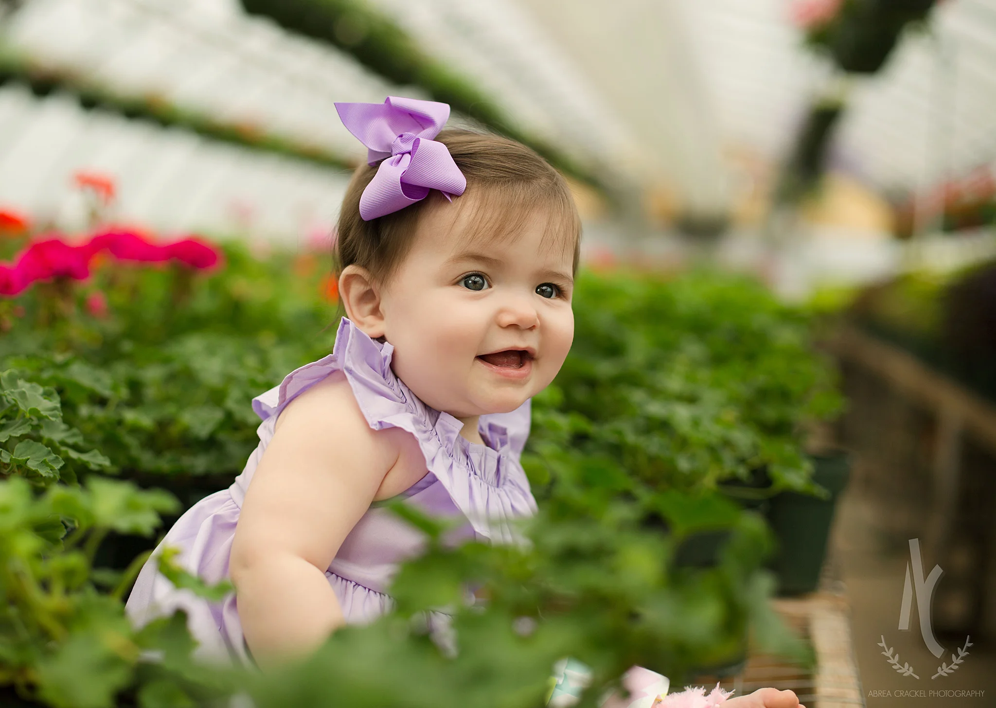 Baby Violet, 9 Months Session