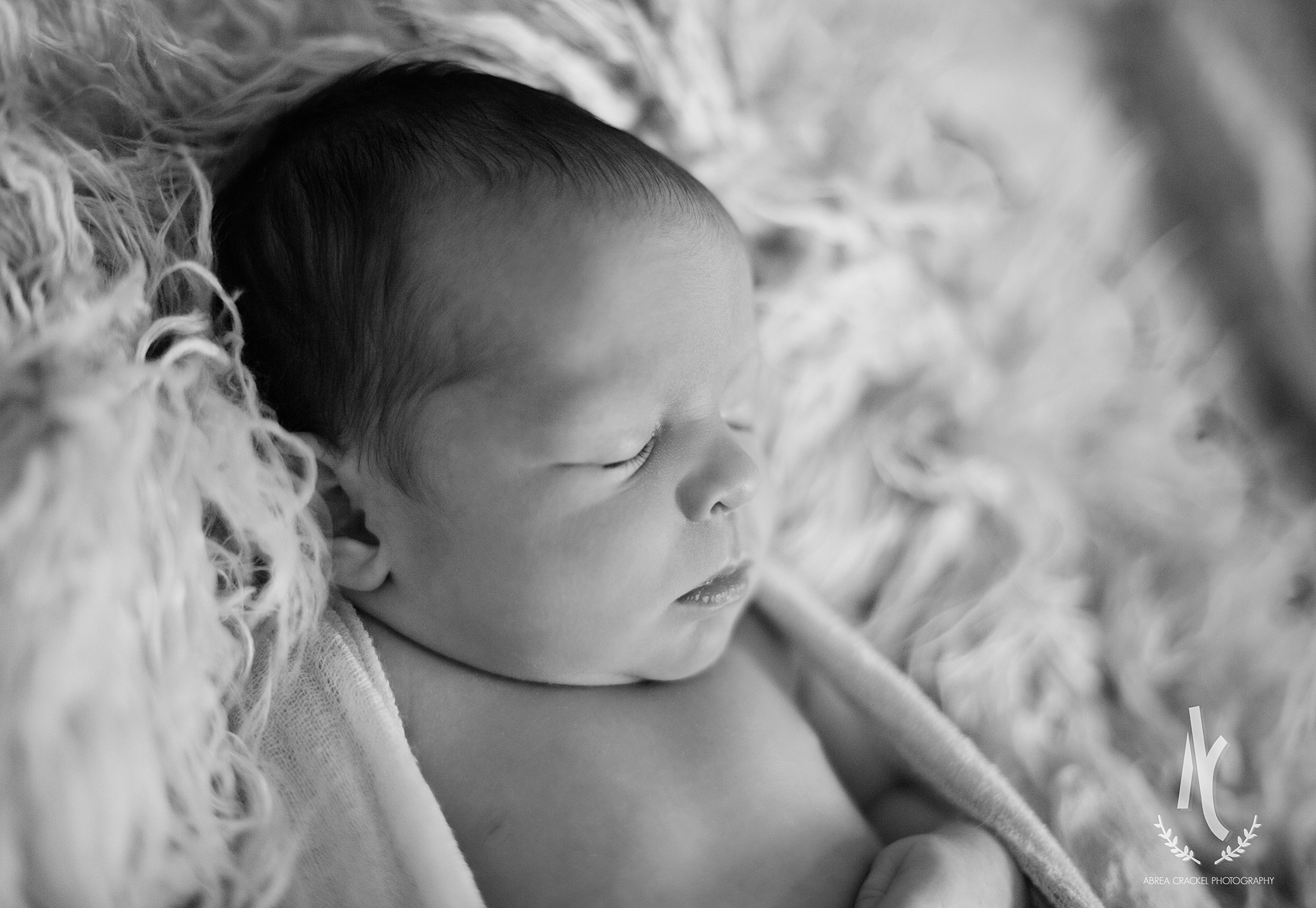 Baby Avery, Newborn Session