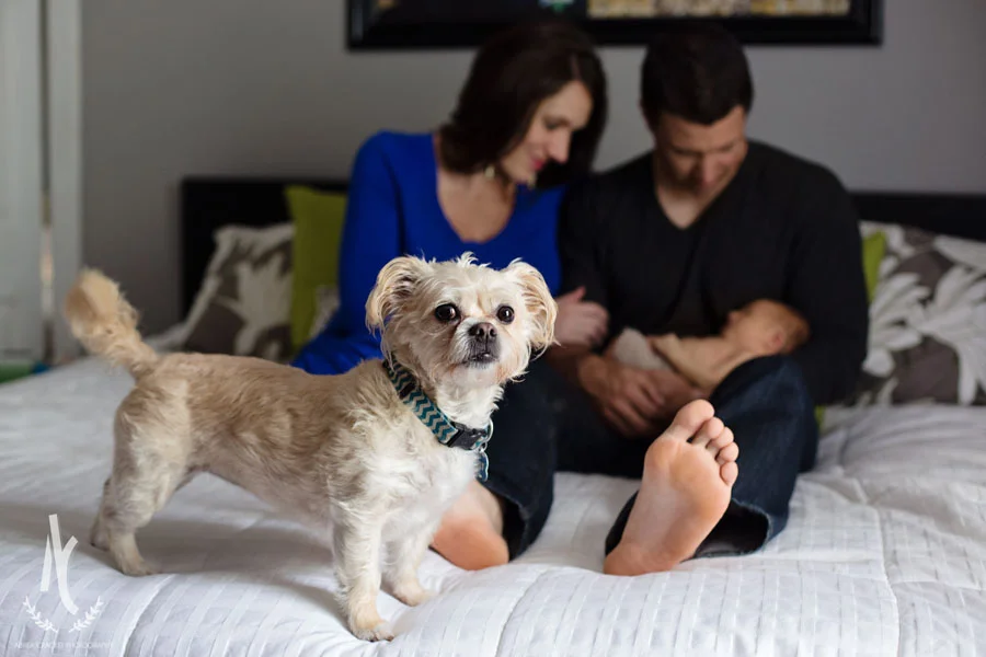  We didn't exactly plan this image, but sweet Lily struck a pose so I quickly grabbed this shot! :) How adorable is she? 