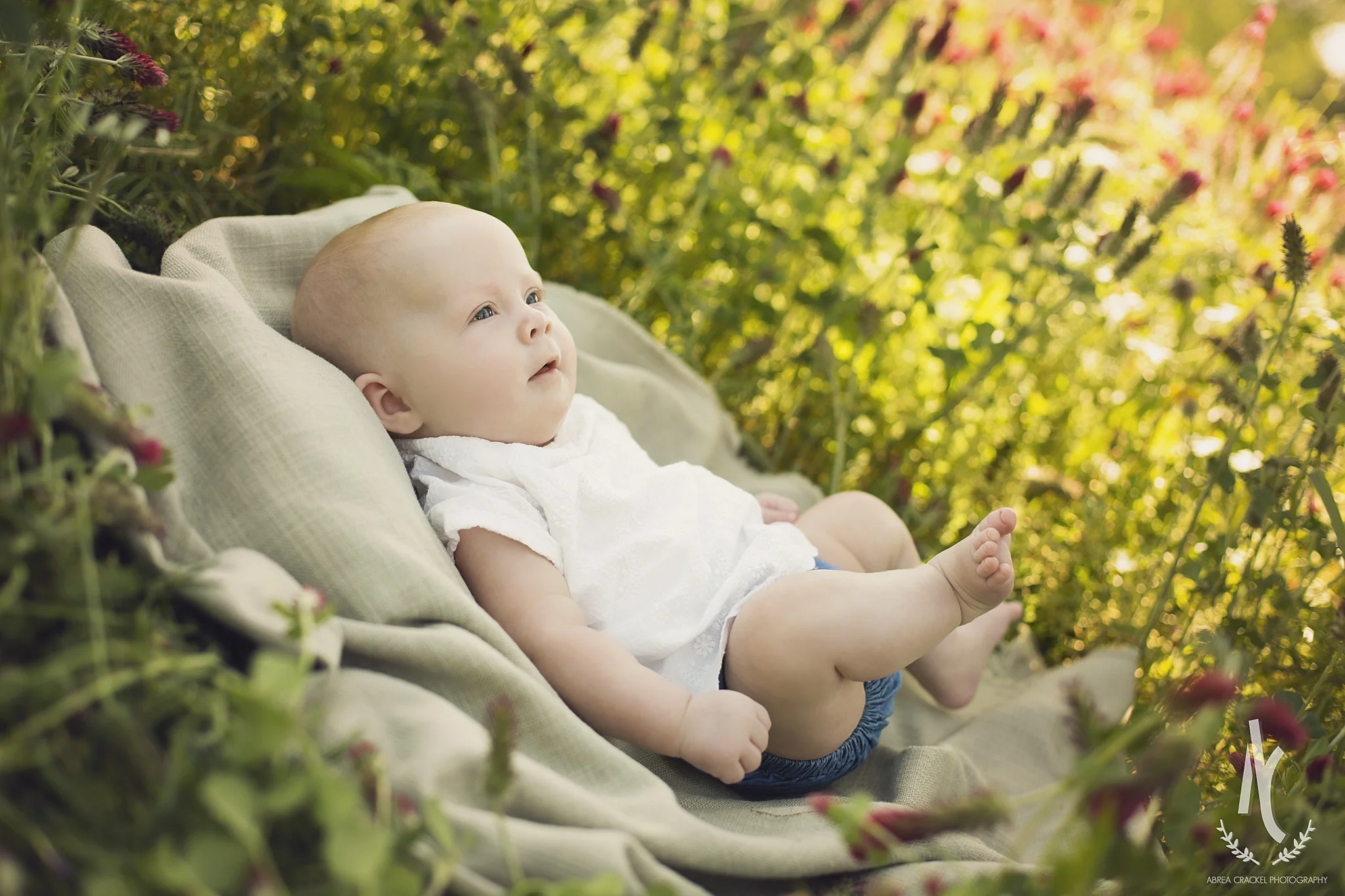 Baby Scarlett, Four Month Session