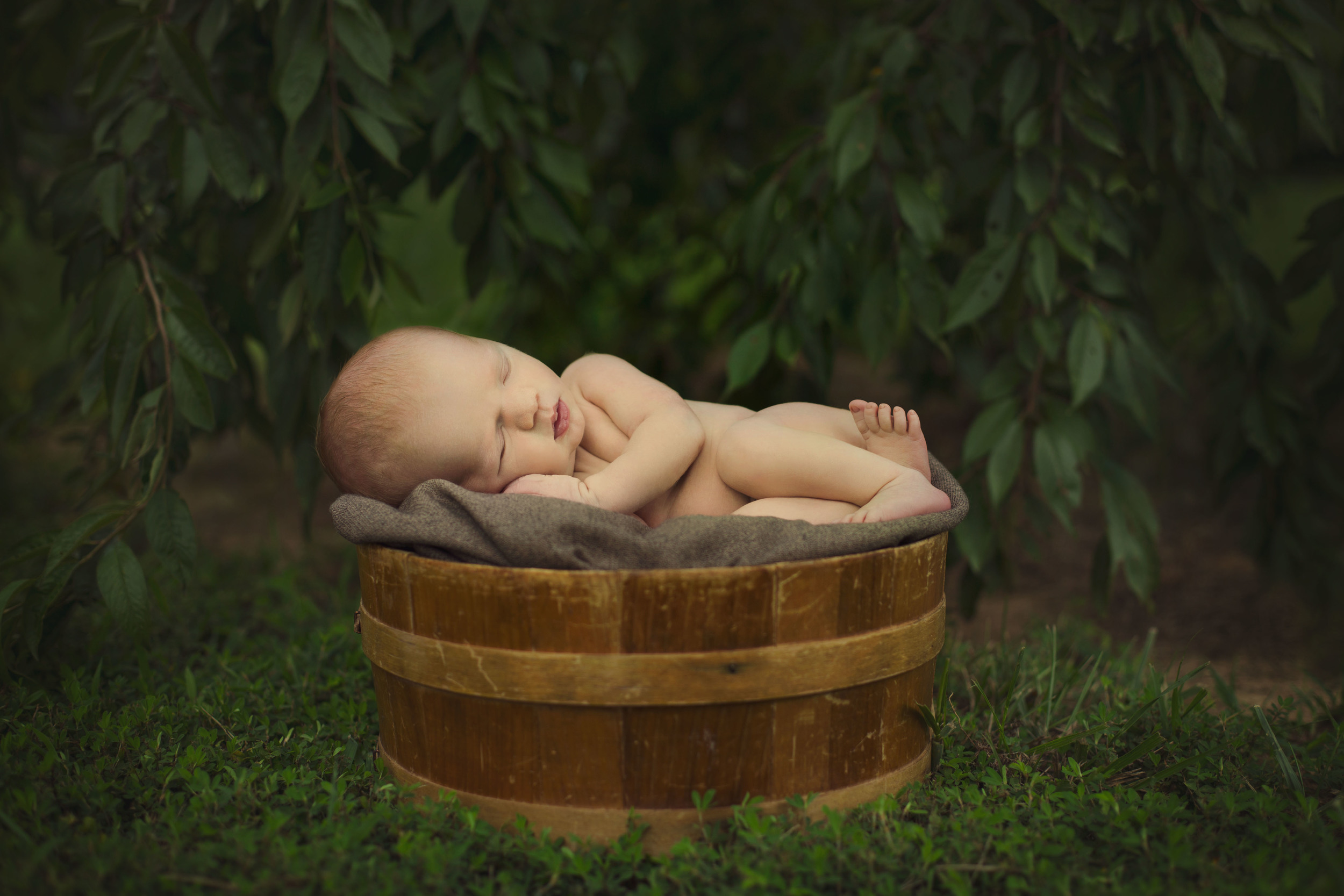Baby Wyatt, Newborn Session