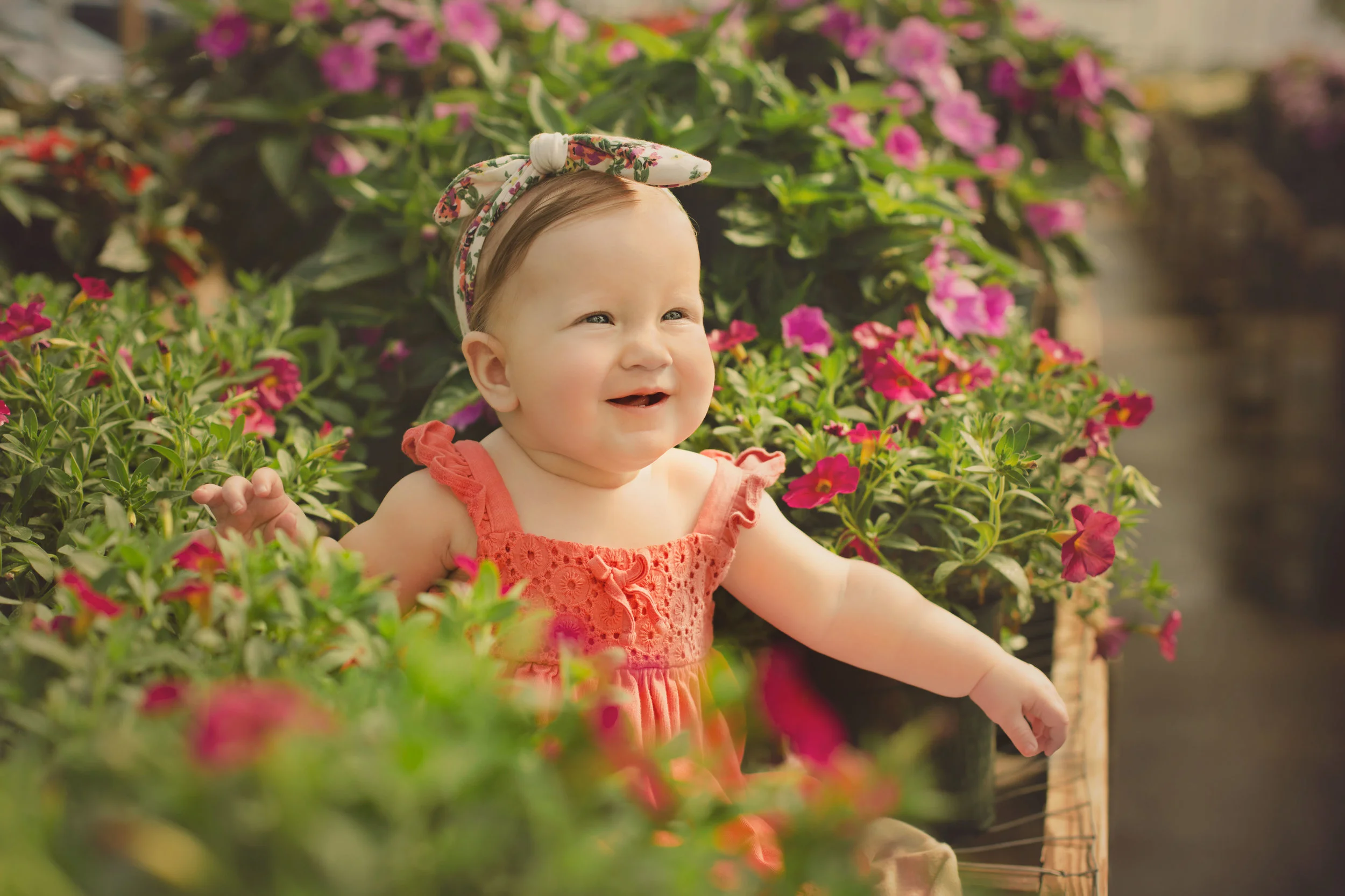 Baby Blakely, Six Month Session