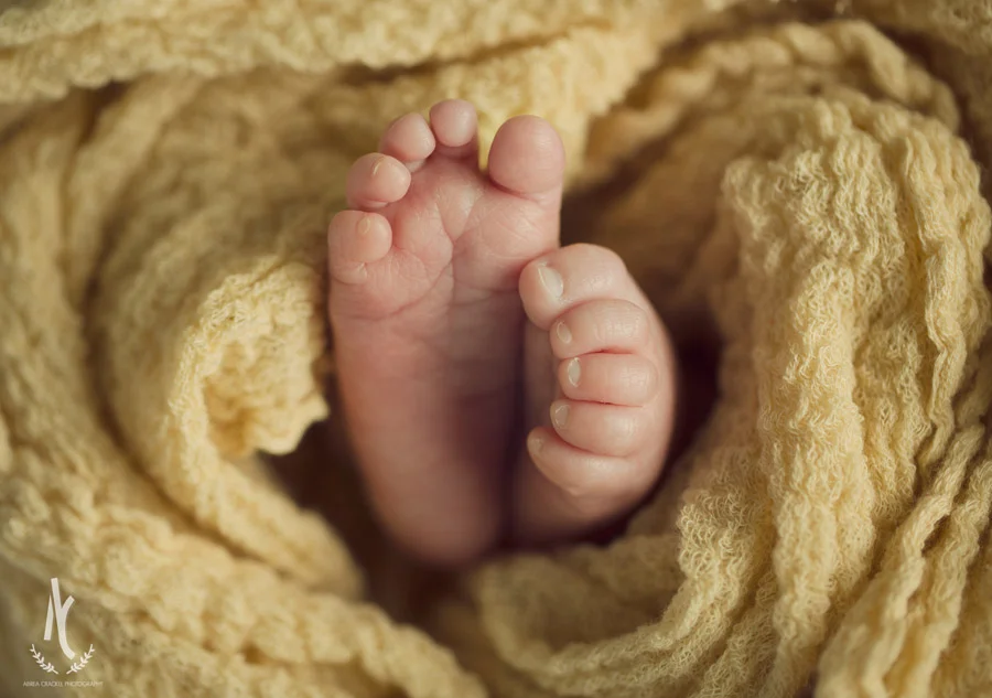 ACP_4615.jpg